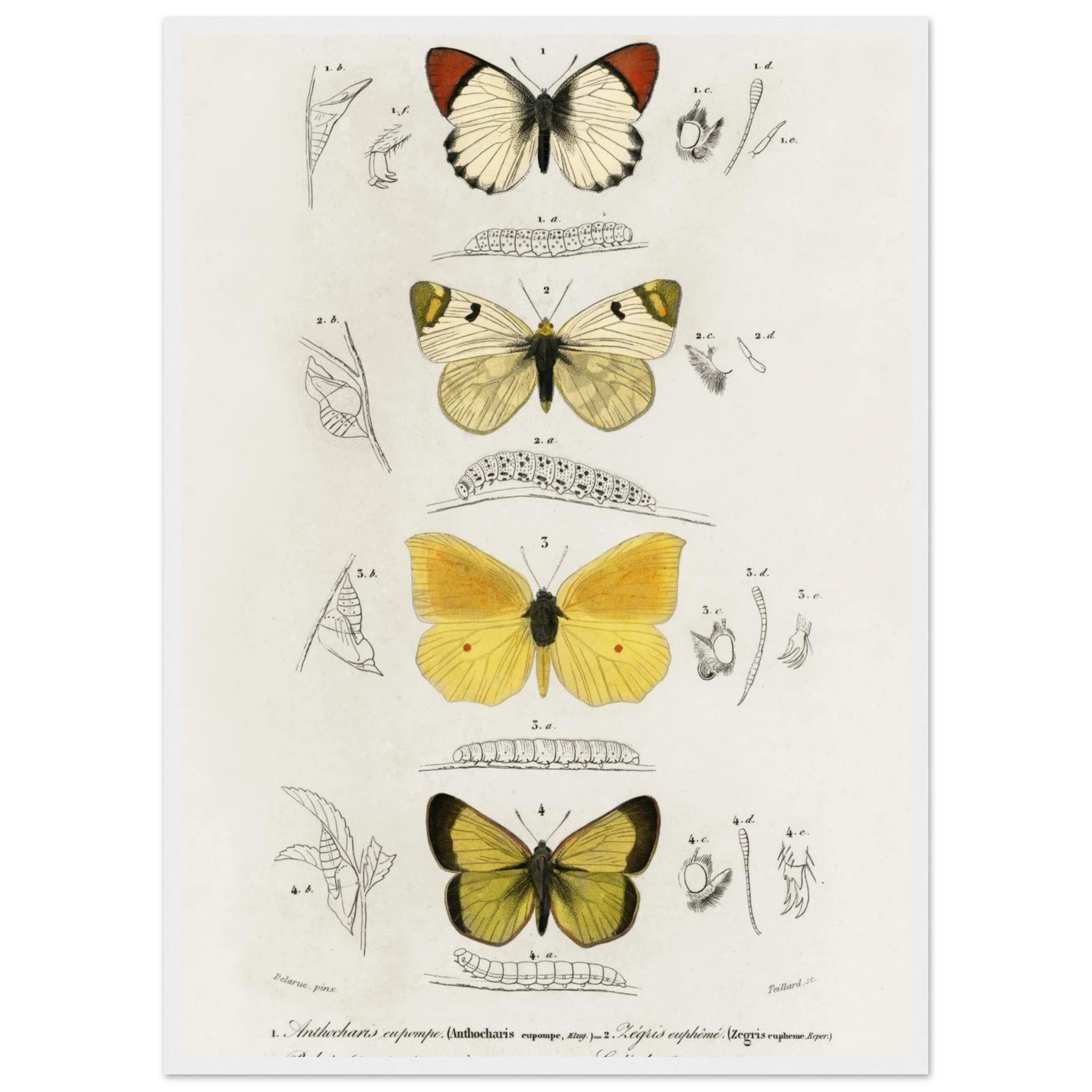 e0ce91e3-eb77-4fc2-a7a3-2fc770c2599d