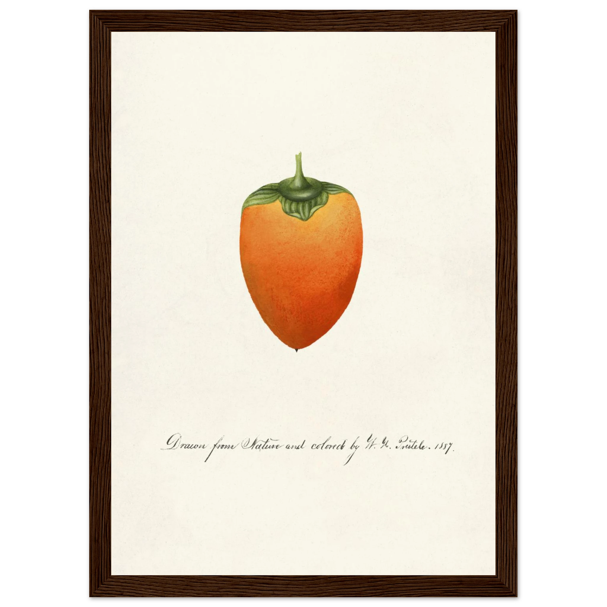 e0e812ca-7eaf-47e4-9c6e-23525998c54e