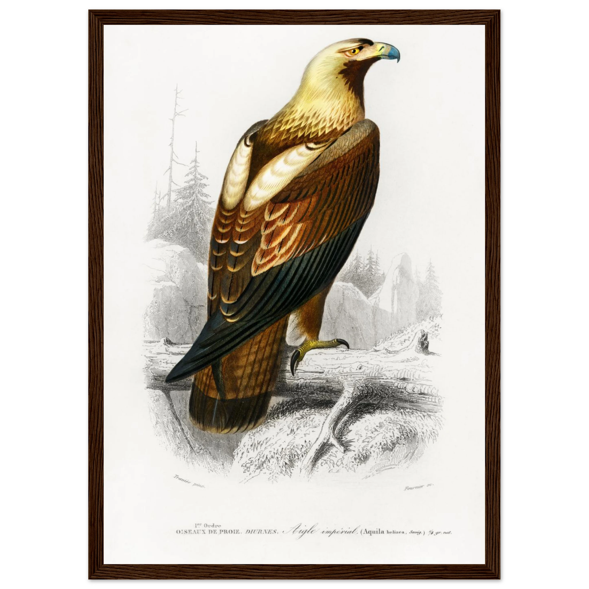 e12d3819-71a9-4abf-a812-2dc3fd8365d6