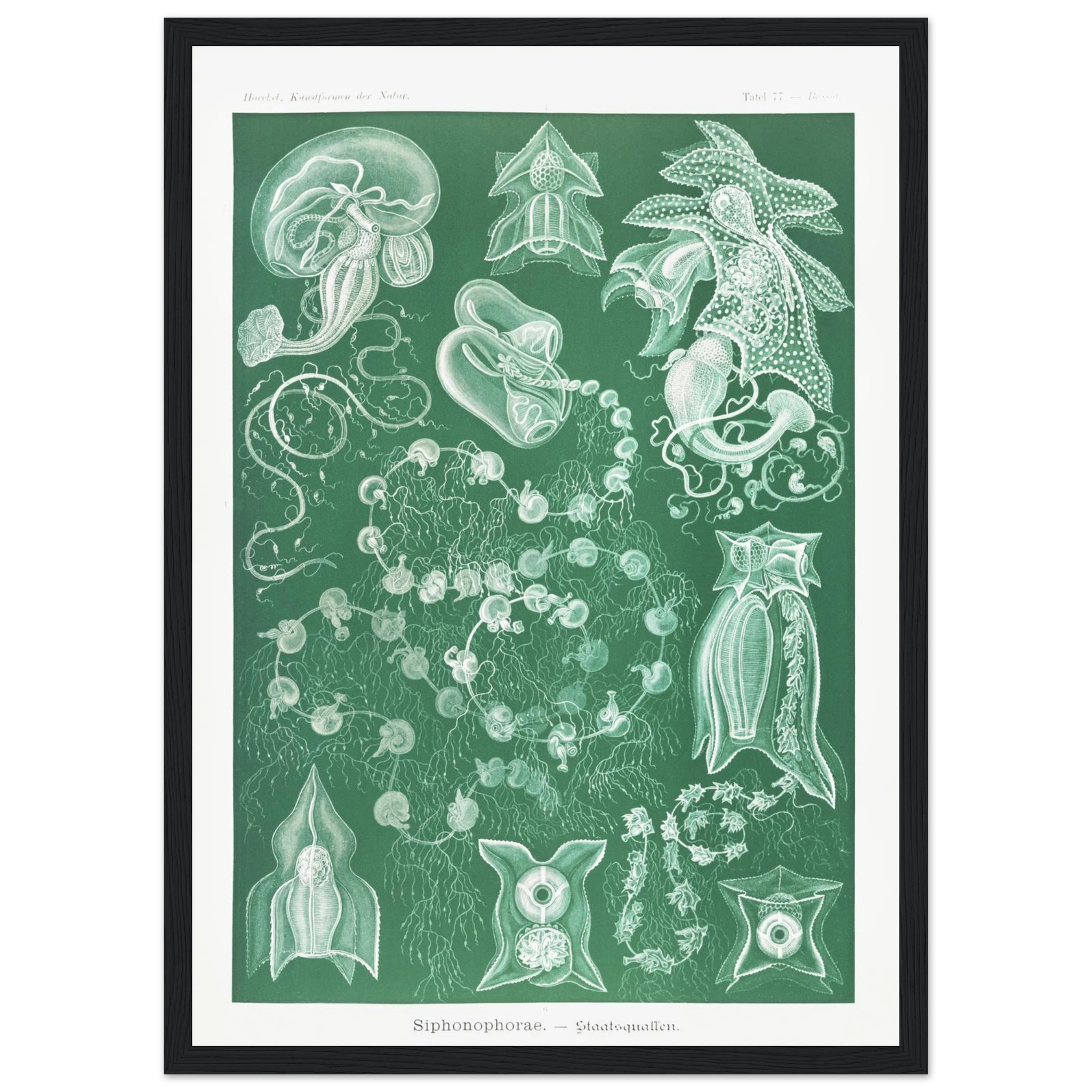 e12e8b53-38f8-4b18-8b70-da8e9a739c39