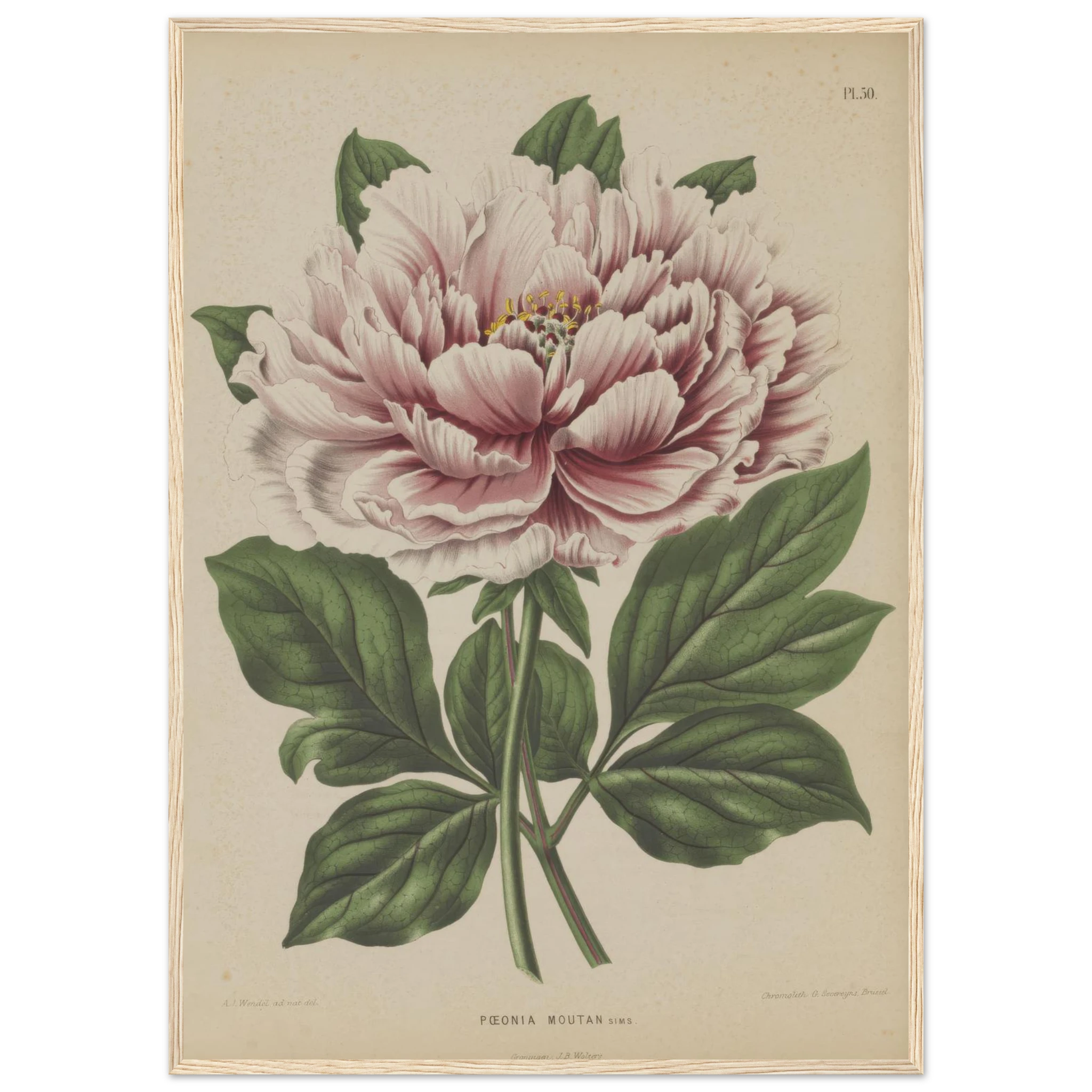 e1dc2f85-be53-46e8-a1f6-4b5d03d6bdcd