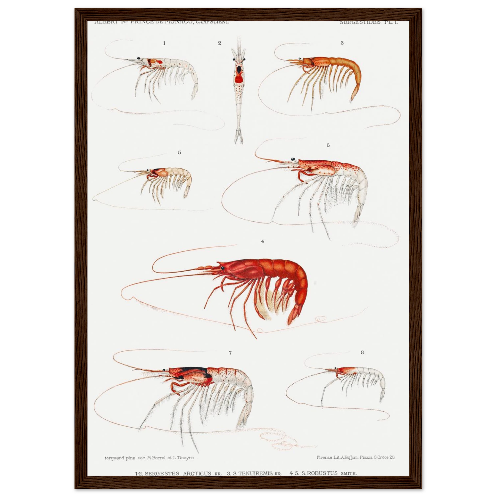 e1e6e51e-2658-4611-8e97-d2b61ed9d6c0