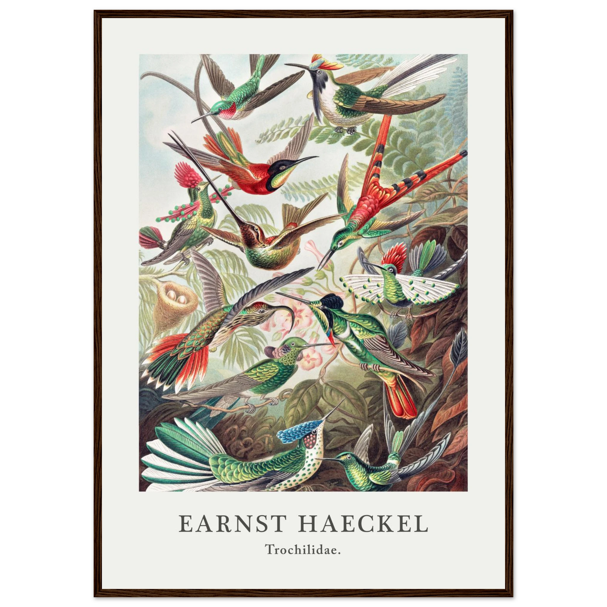 e1f85e04-0d37-45be-adc1-29378ef320af