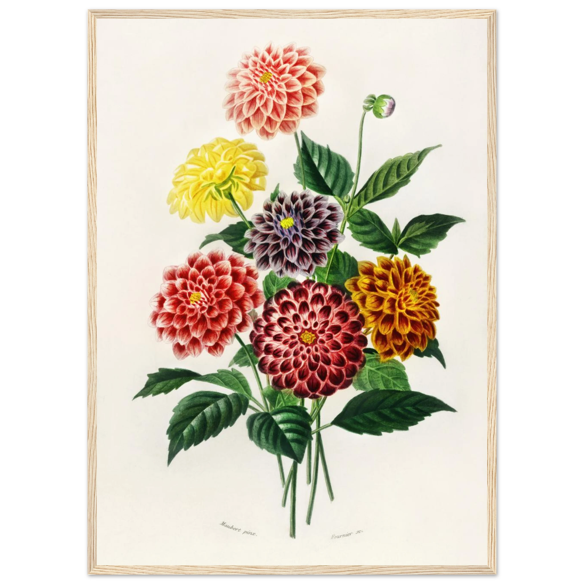 e226b74e-f47c-4d7a-bc9b-7e2d0b20fae7