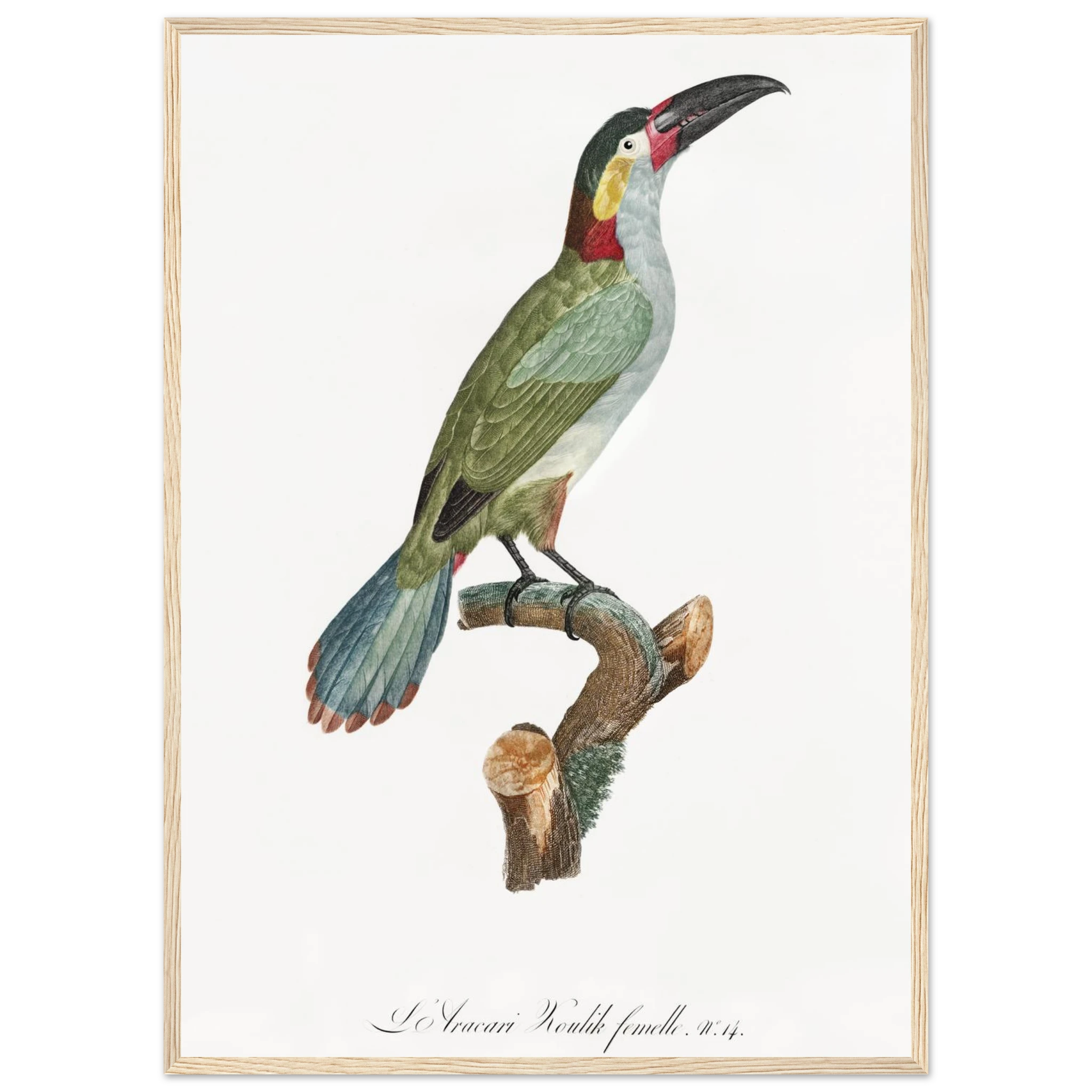 e2644af5-b39e-487b-8191-f92eee83e5c9