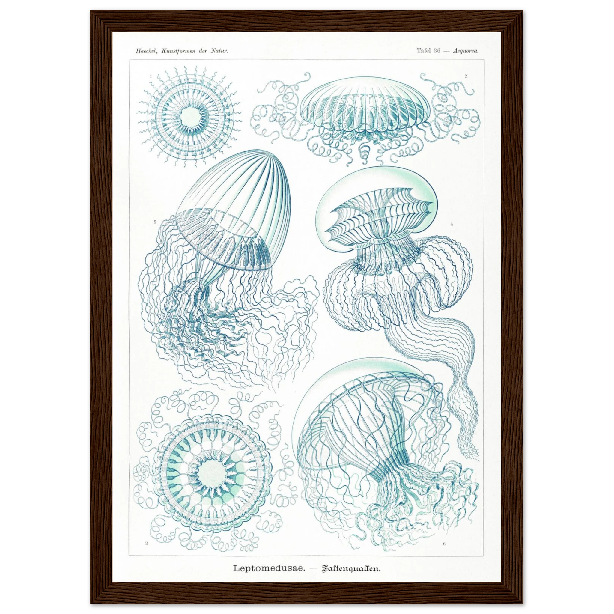 e29b4d30-5180-4525-b5e2-f37272696d7b