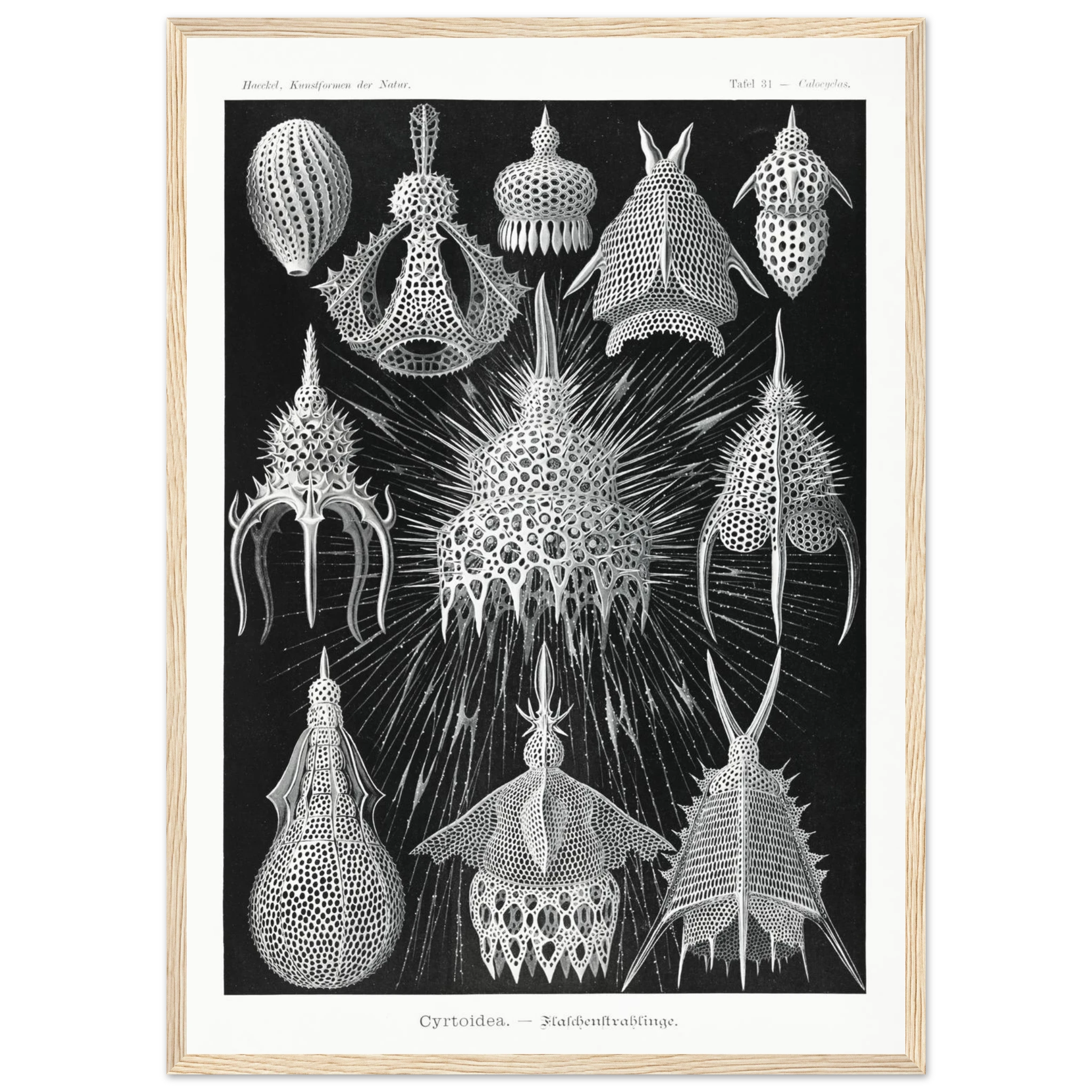 e3117209-2296-44f8-8da6-1313d523dc33