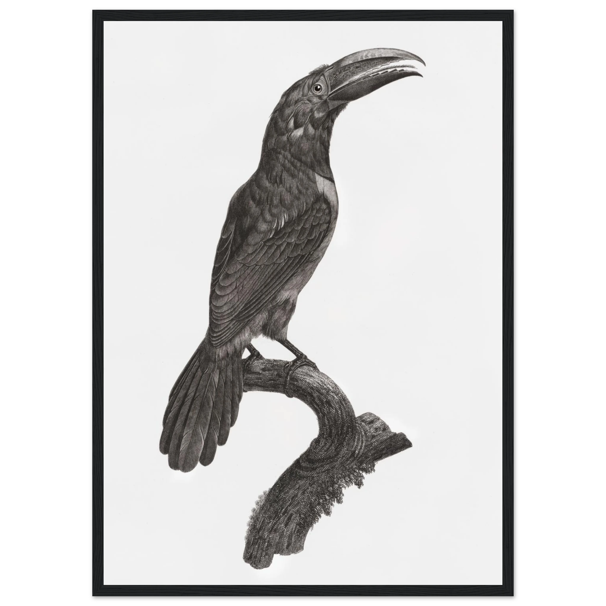 e33b25bf-135e-4bc4-8a97-0e075a49216f