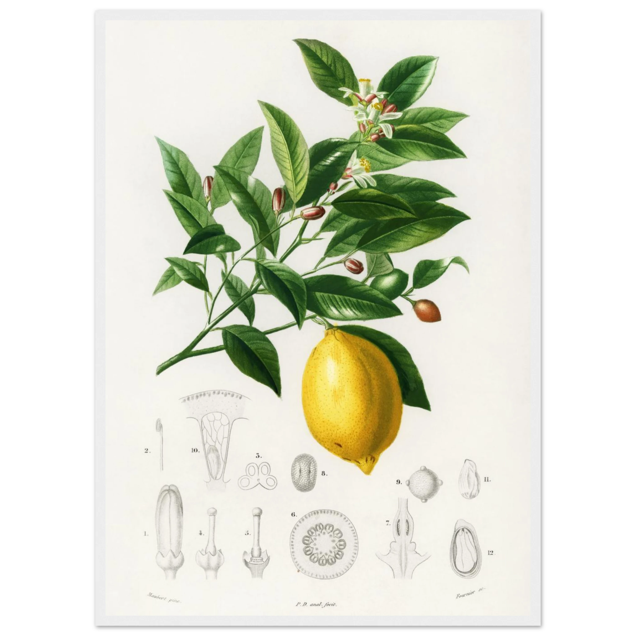 e340fcb9-a525-4599-b977-aea3ad4b7d4b