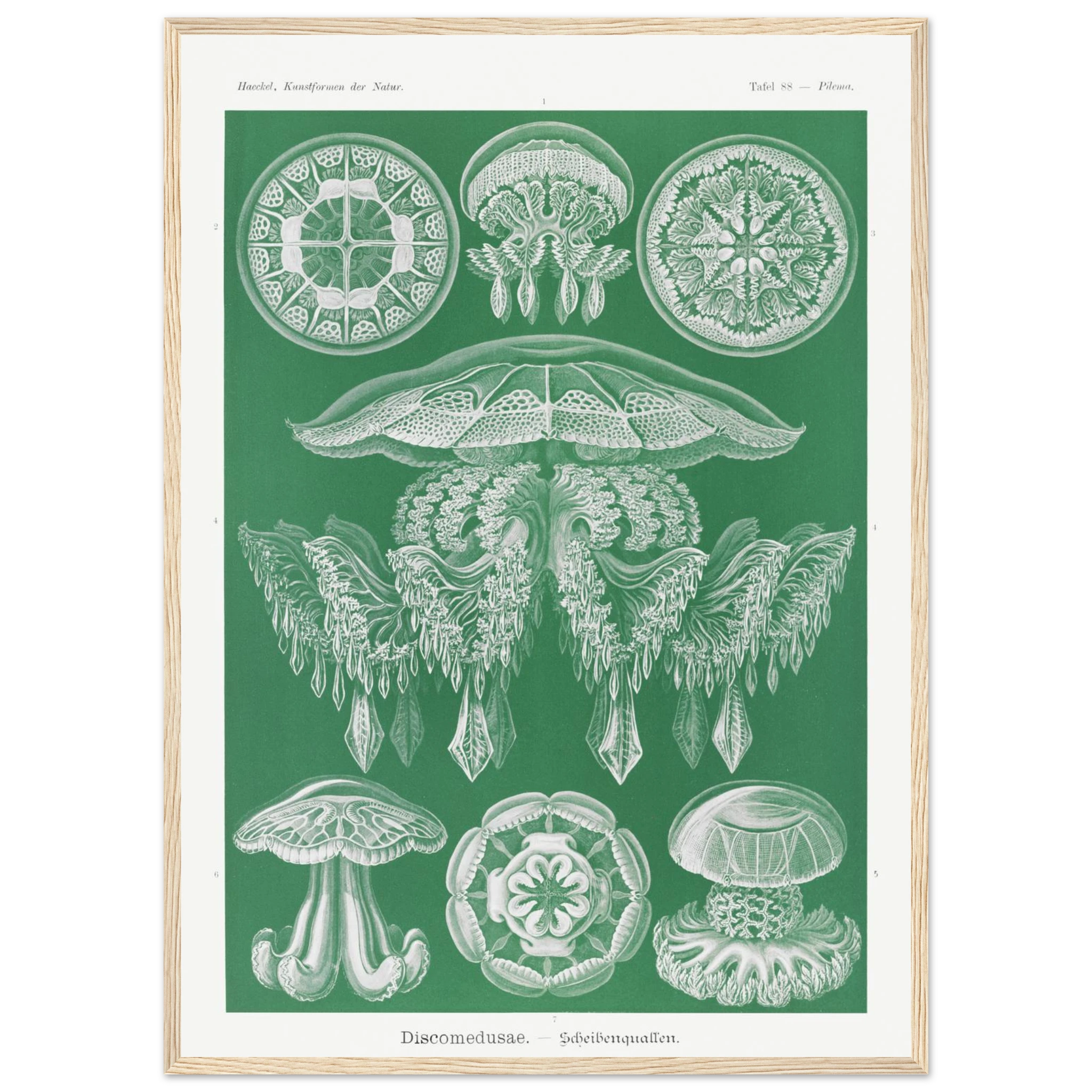 e39977d3-8850-4a55-9946-20ddc2c3a69c