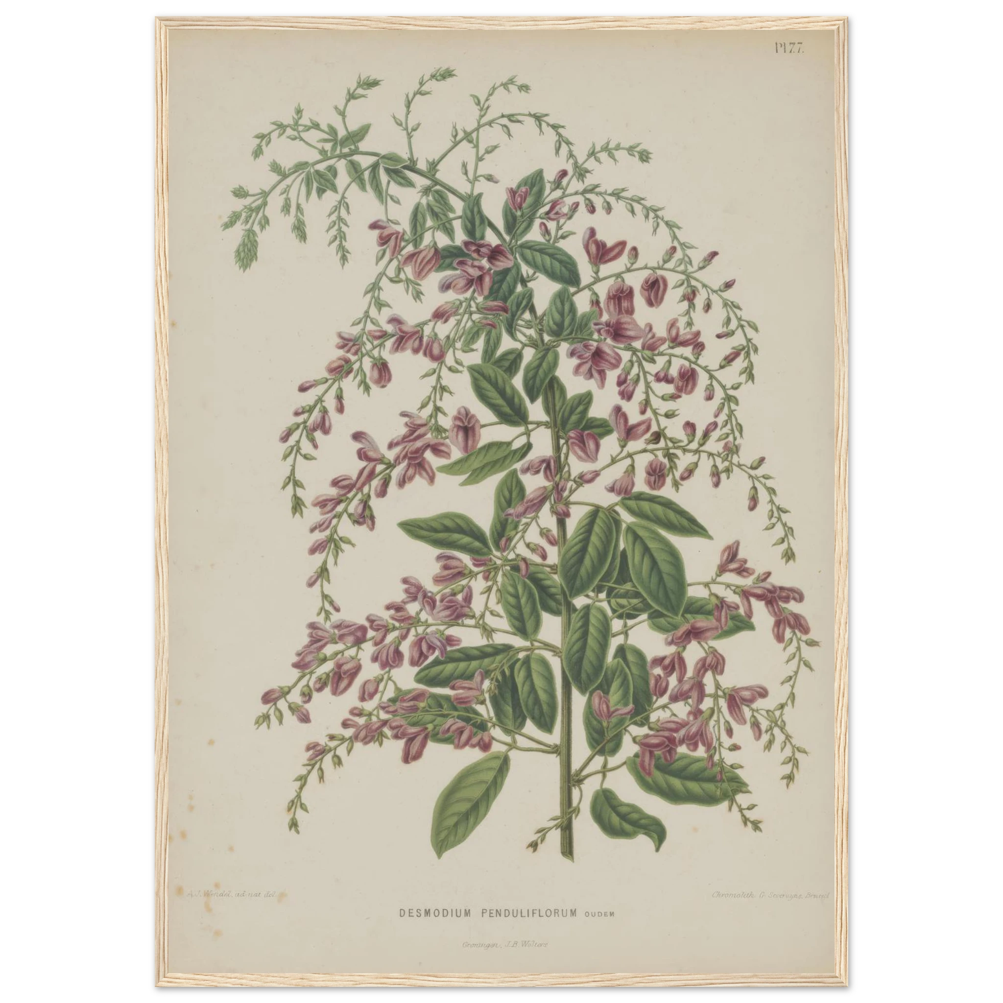 e41e5b74-70b8-421d-a8f3-67d5a479968a