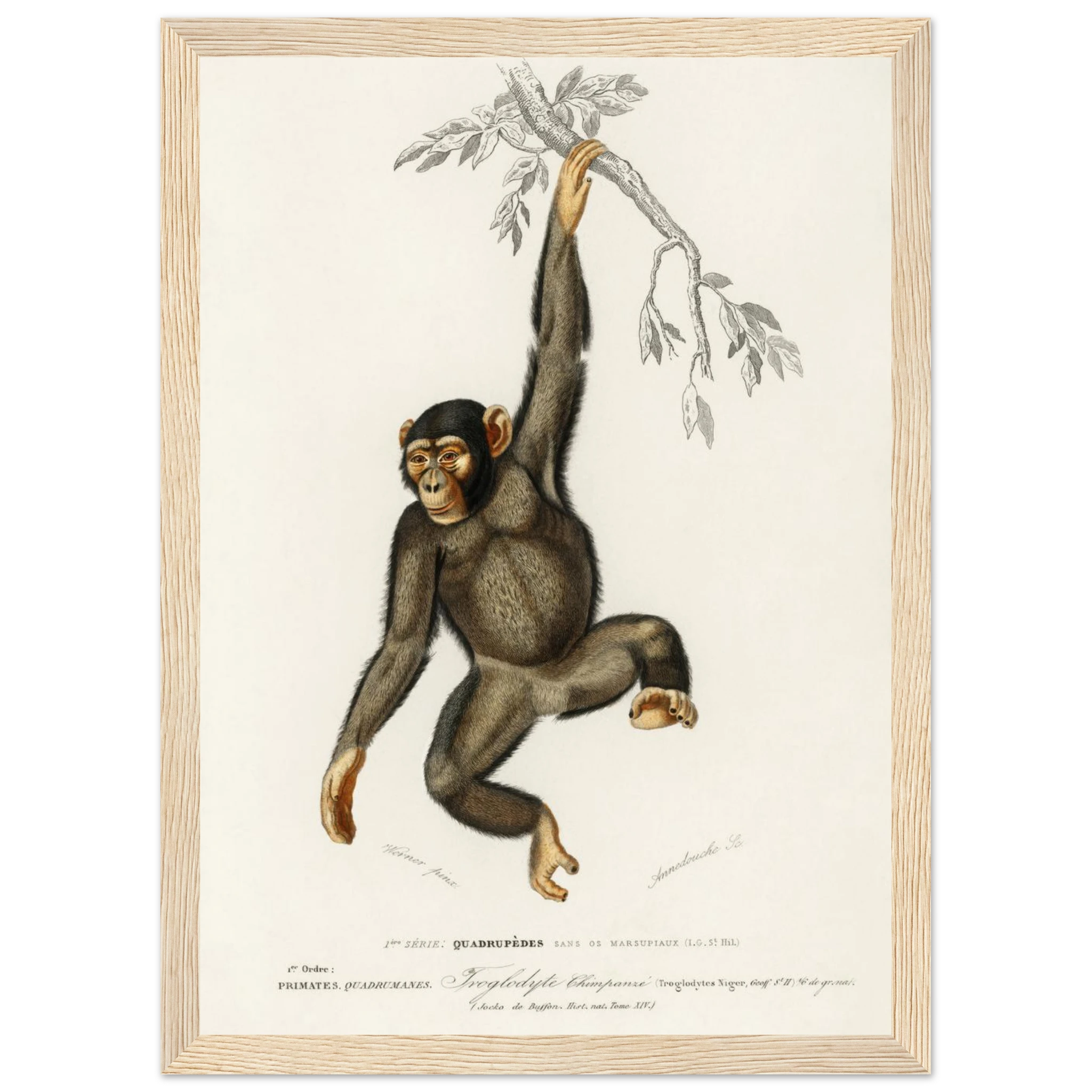 e42854f3-9c64-4297-a926-176105adee9d