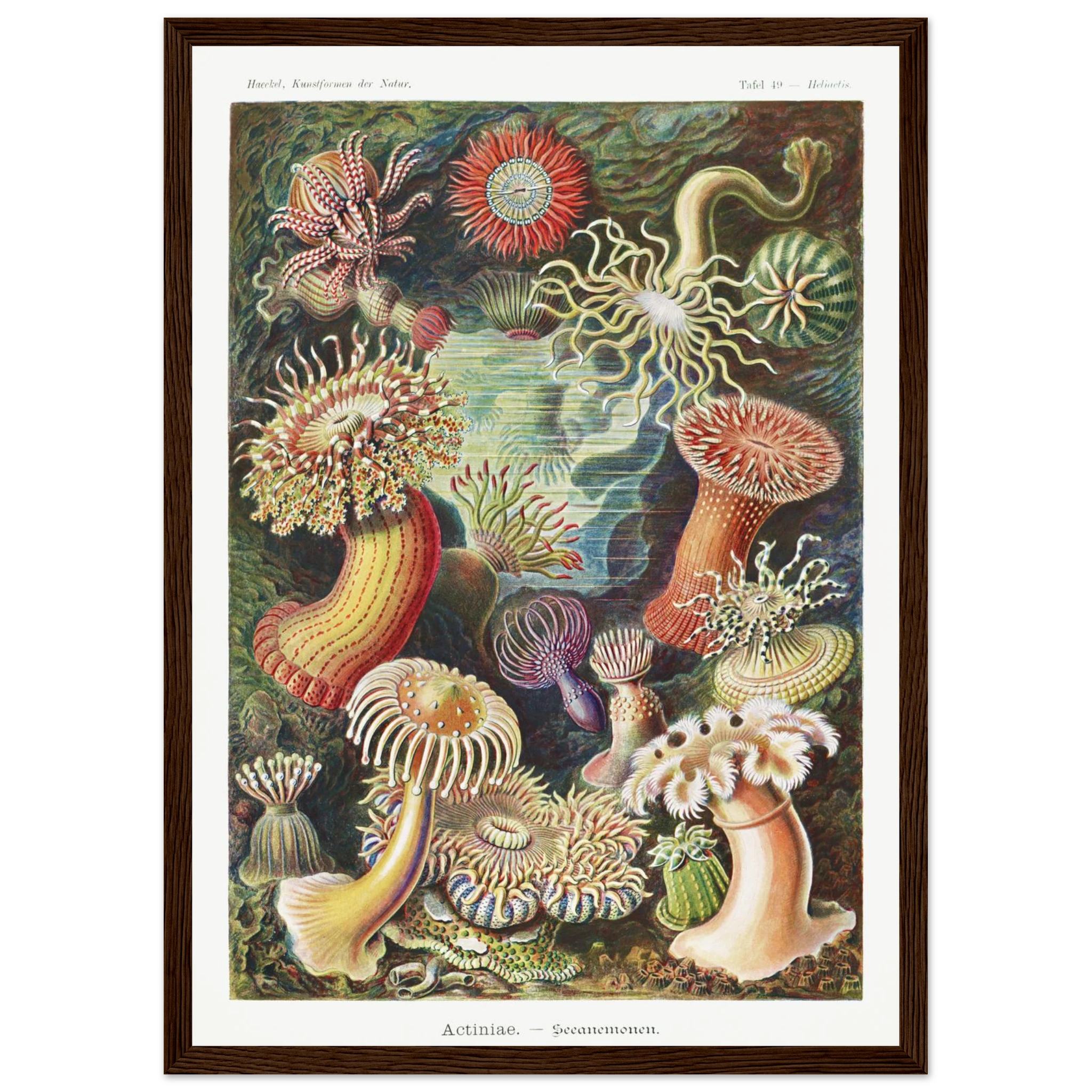 e44313ae-9634-4e95-a8ce-4b8d3a590962