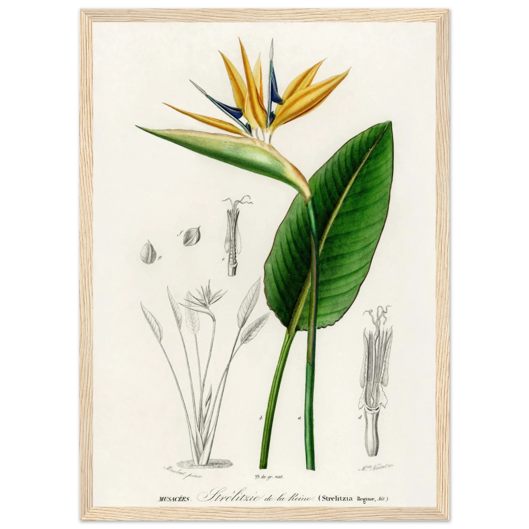 e475ebad-8c4a-4eae-a9bb-20d72e2b1b7f