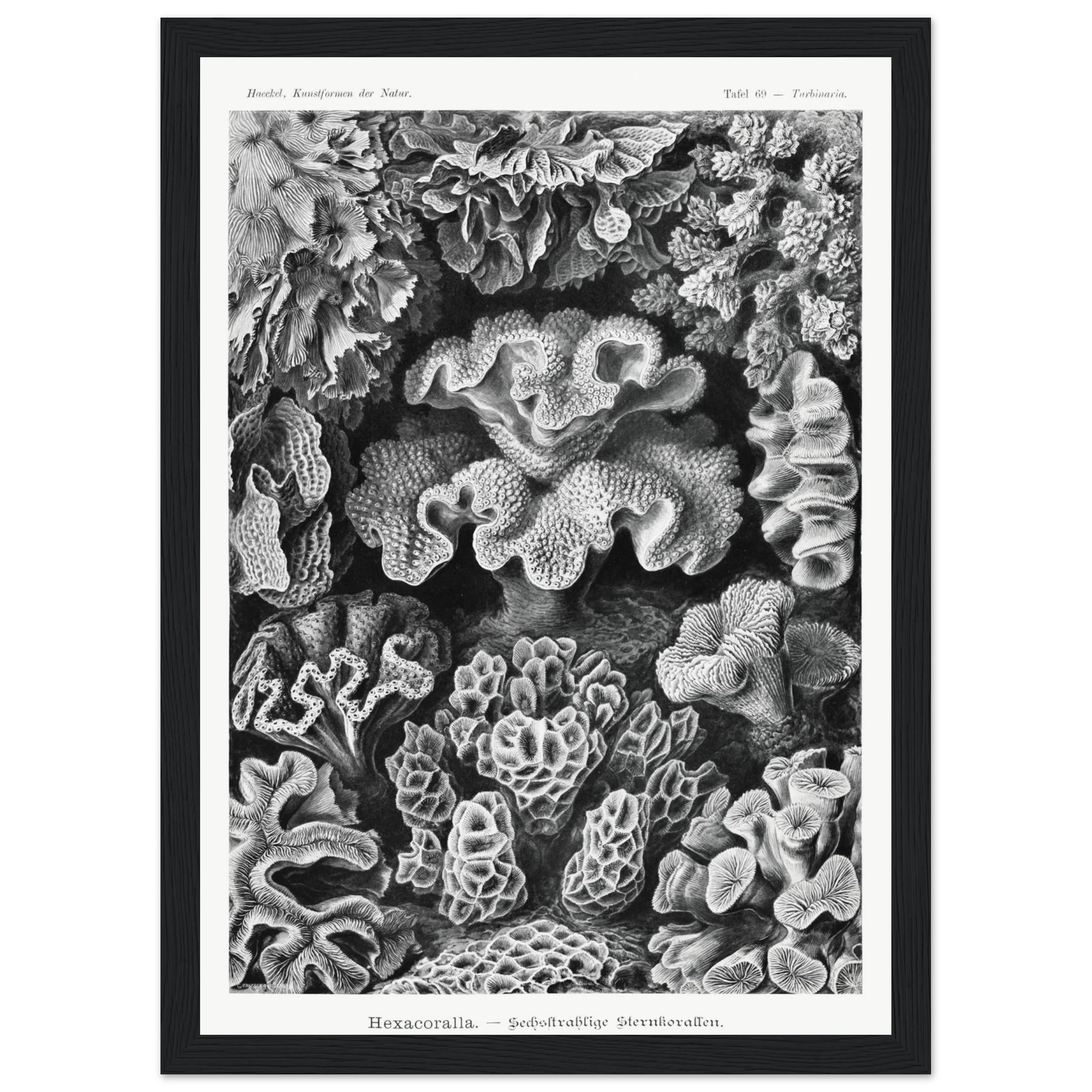 e4daaf17-0580-4b9f-82f4-e2f85b6934ad