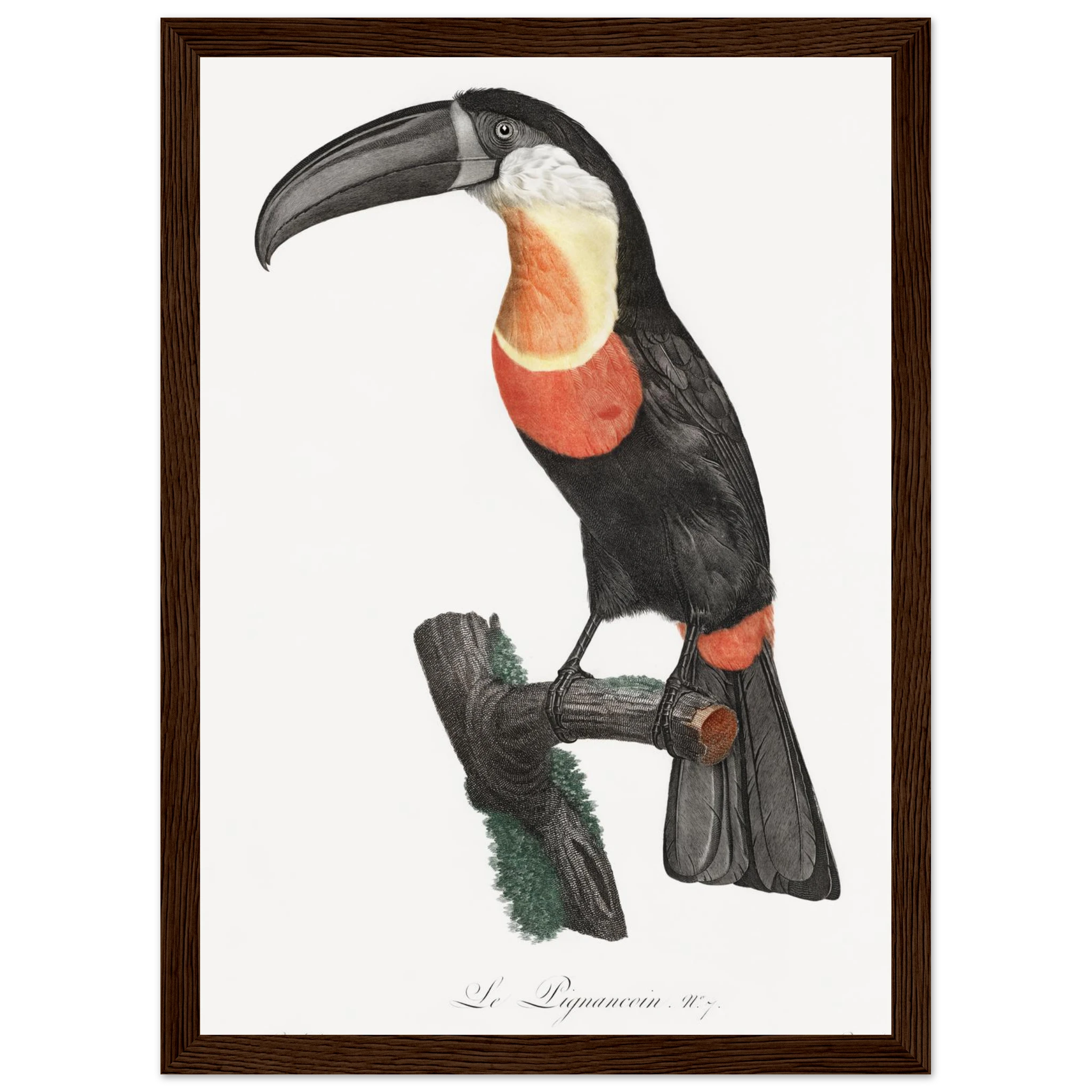 e55d6233-0516-4778-b448-965101196666