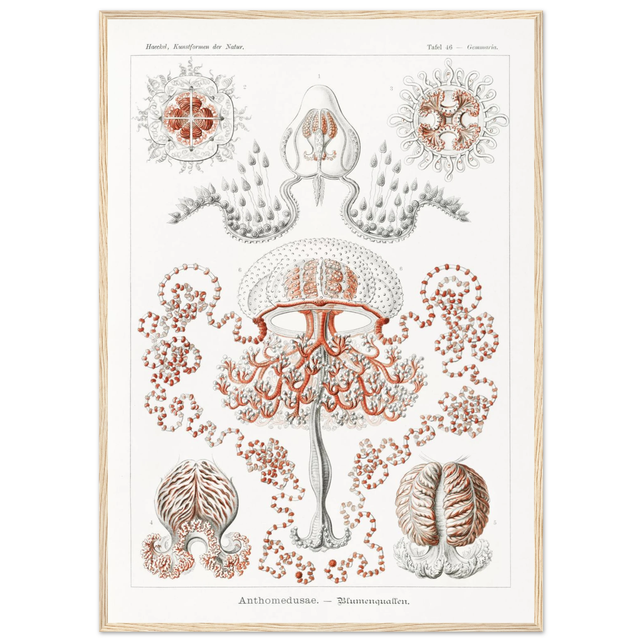 e563d55c-88c2-44e6-b87d-7e657b5b7106