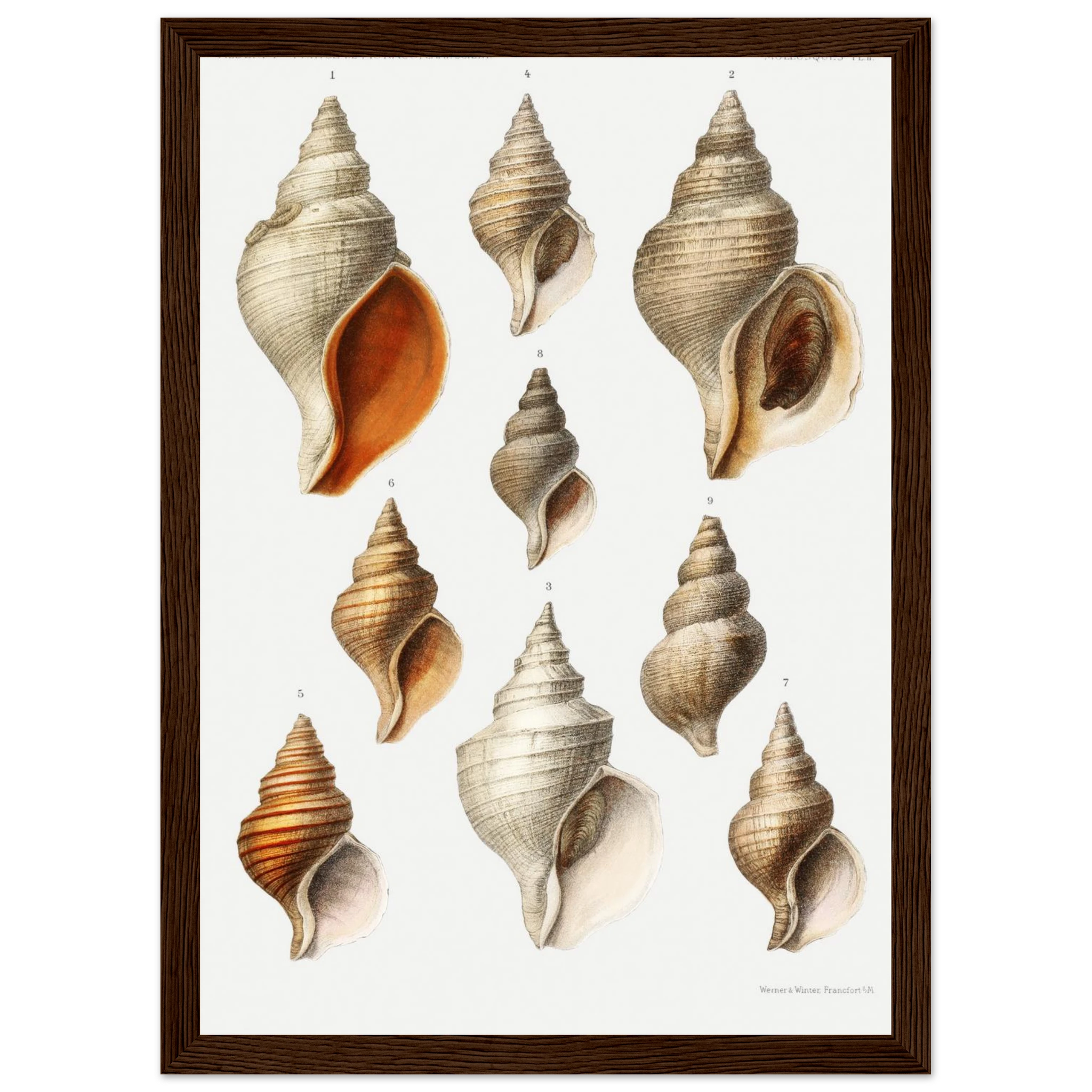 e5b90198-f840-4d9e-af58-0995d438c939