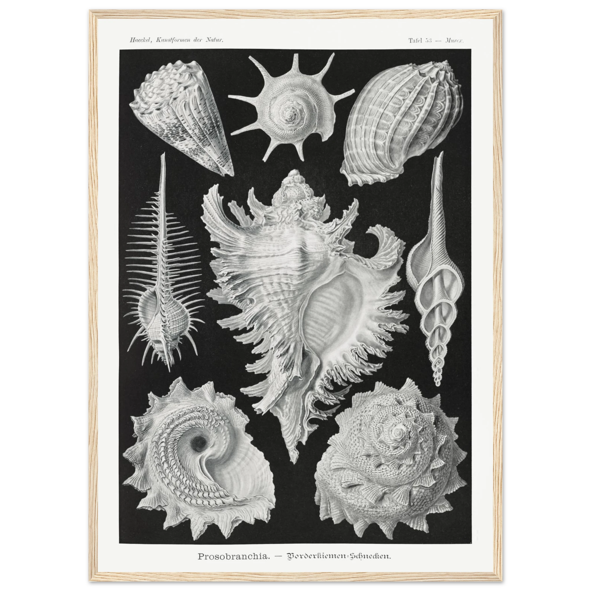 e5c77164-9780-4356-89cd-3c9bbdcfa8e8