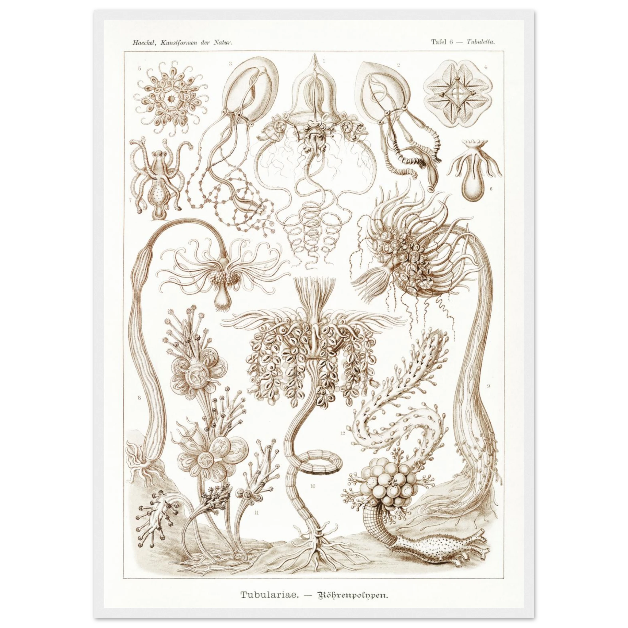 e610097e-8f7d-4016-ba07-b69be436feed