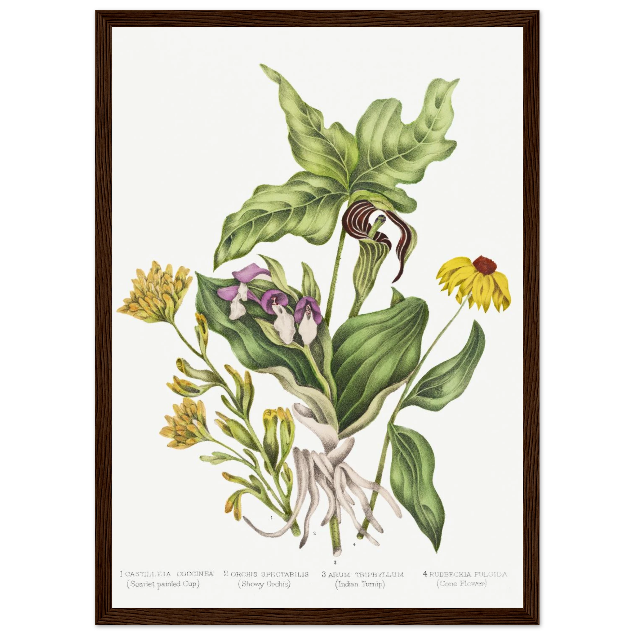 e61746da-887c-465f-bb12-644eb833061e