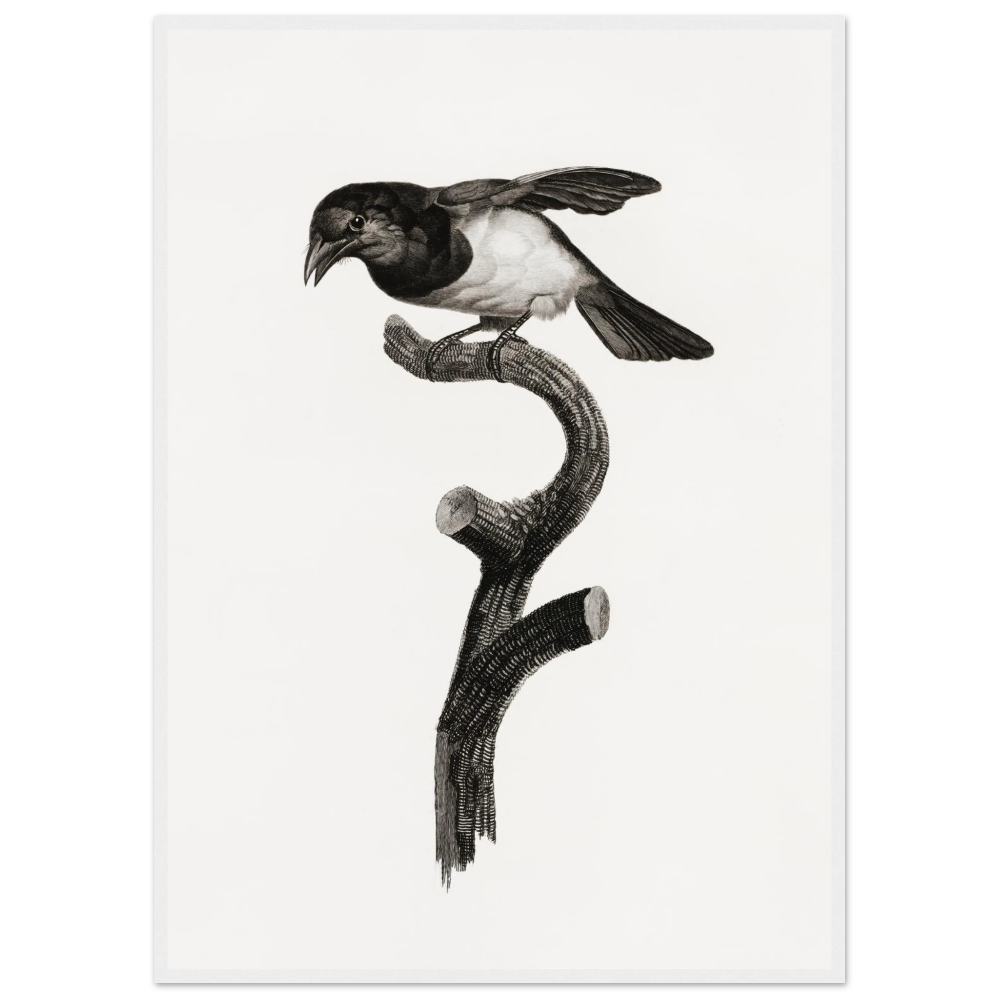 e6408665-ece8-4dce-ac0a-93bdaea93773