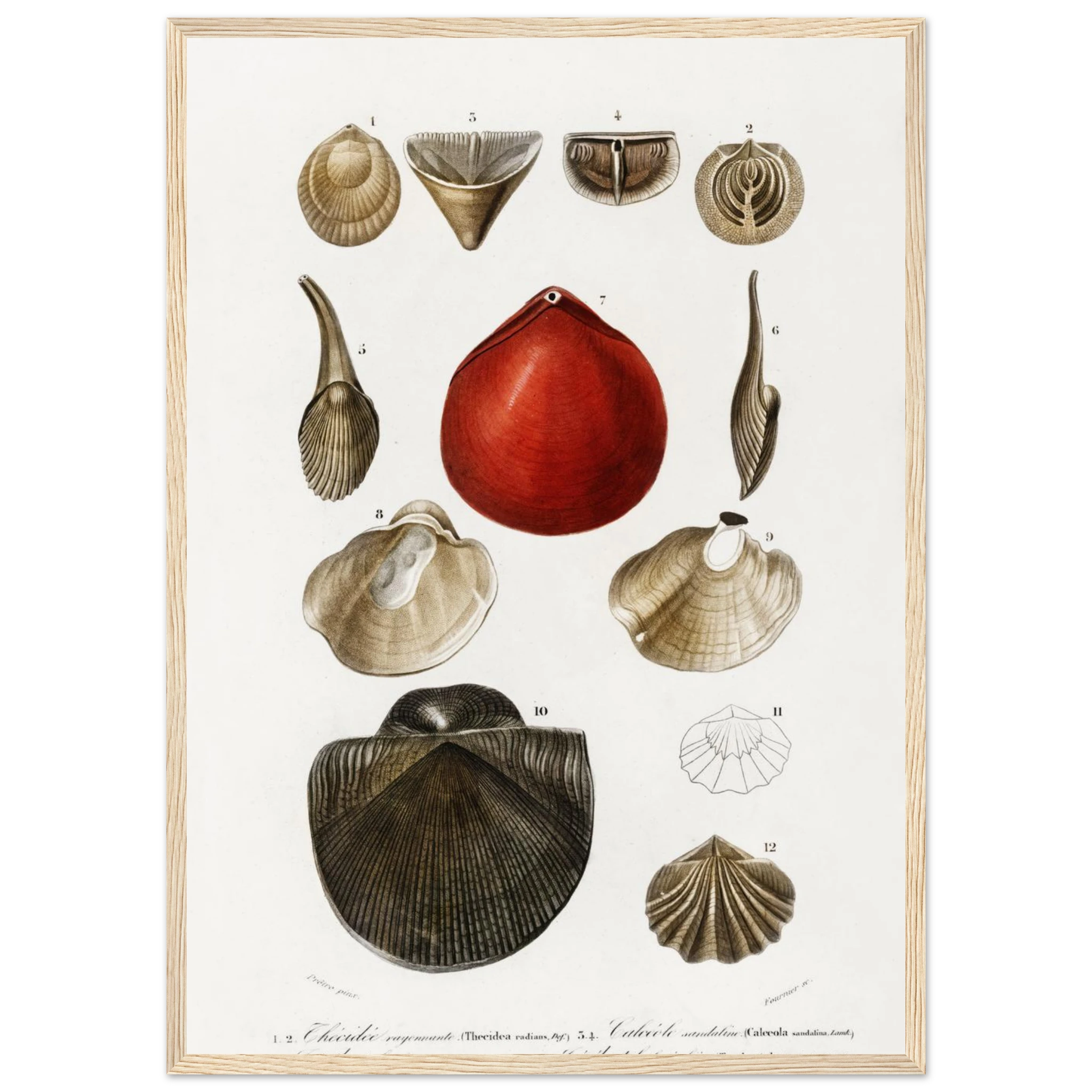 e6508ff4-66d1-4fa5-aa34-0c4eed7cca6b