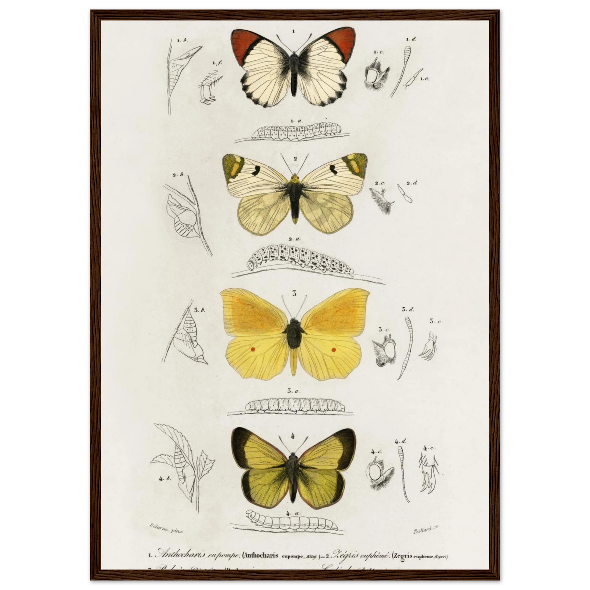 e6836215-1957-4b6f-b86f-a5894ace06a5