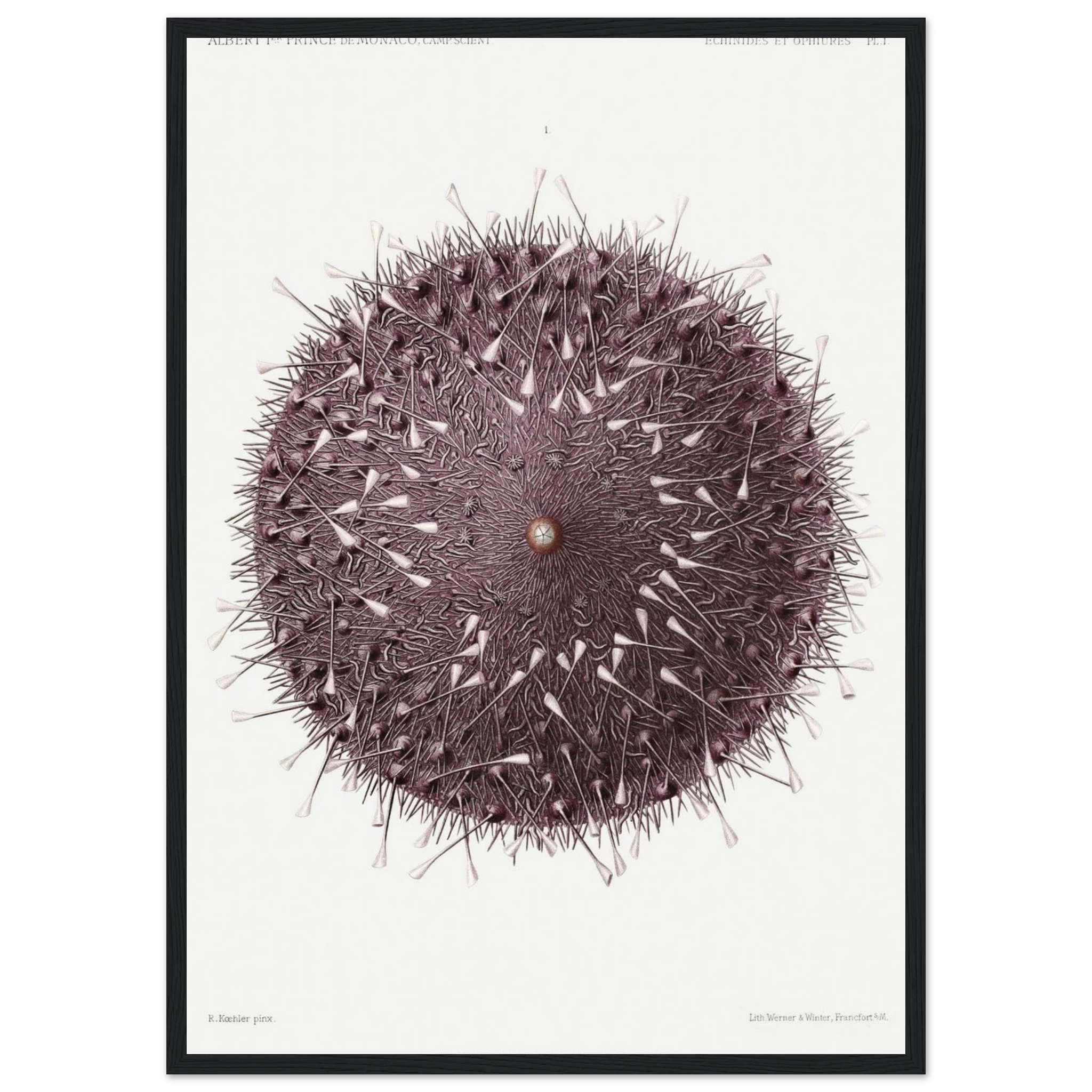 e69f21af-6511-4243-991f-f43b99bc8a52