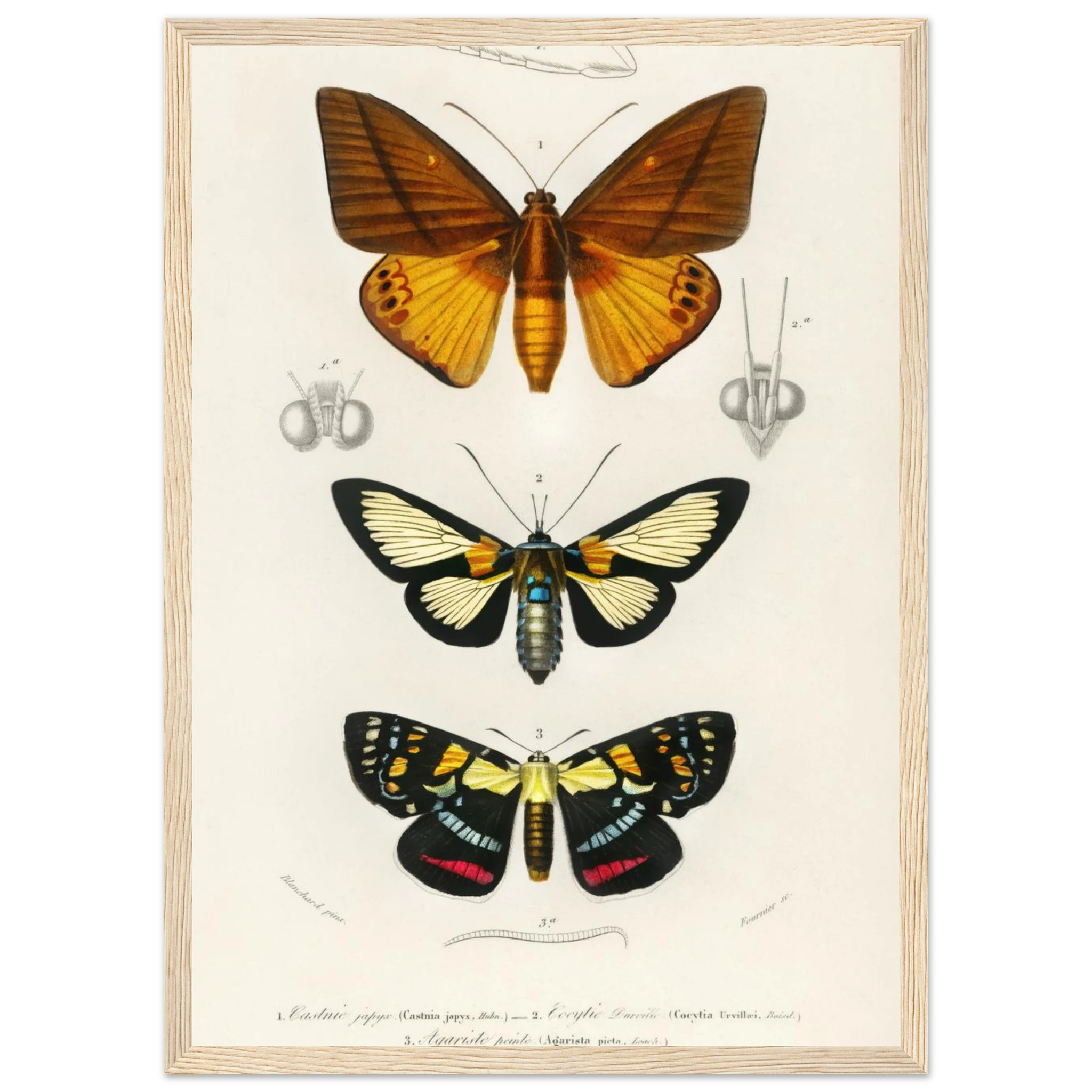 e6ca7689-b3d5-4913-ac74-b97da6c7f1e8