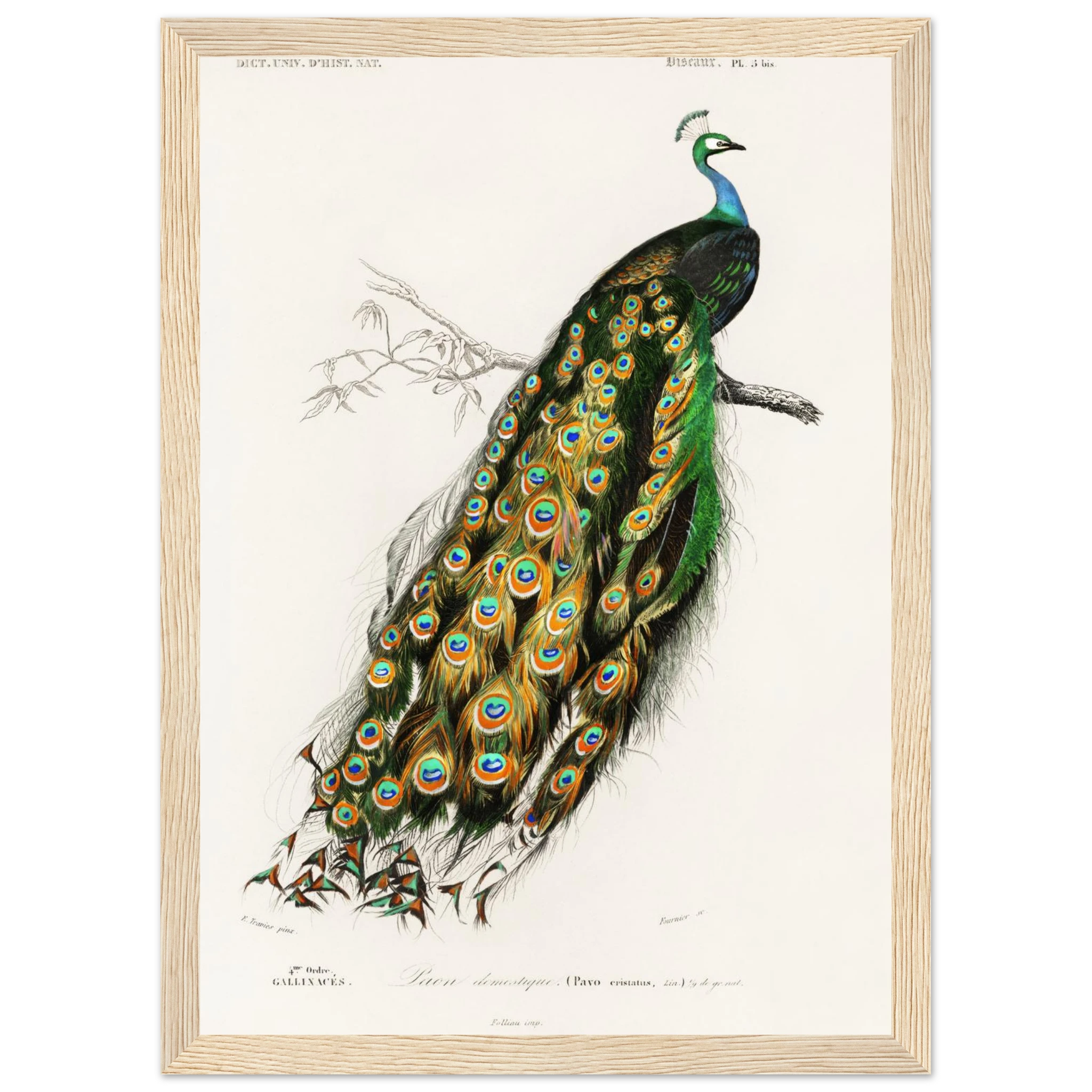 e6ca950f-e8d6-4411-855c-dba449a34a5c