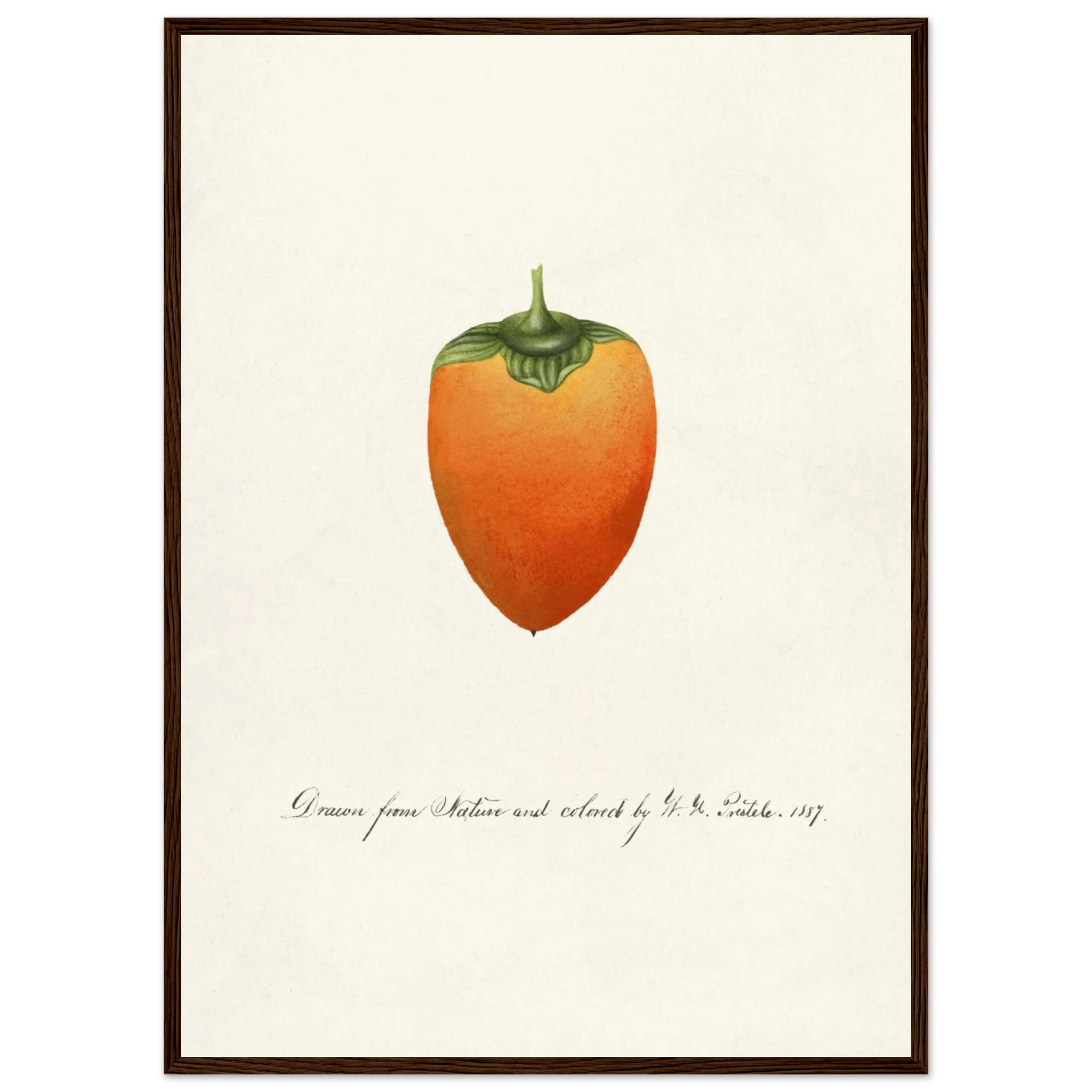 e6ffd134-7c79-443d-a04e-4980080c7986