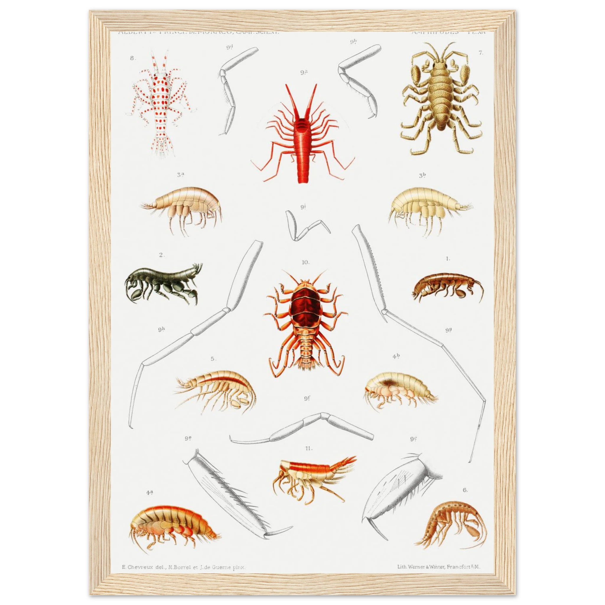 e79d6b7d-7807-487d-9630-079096cdd994