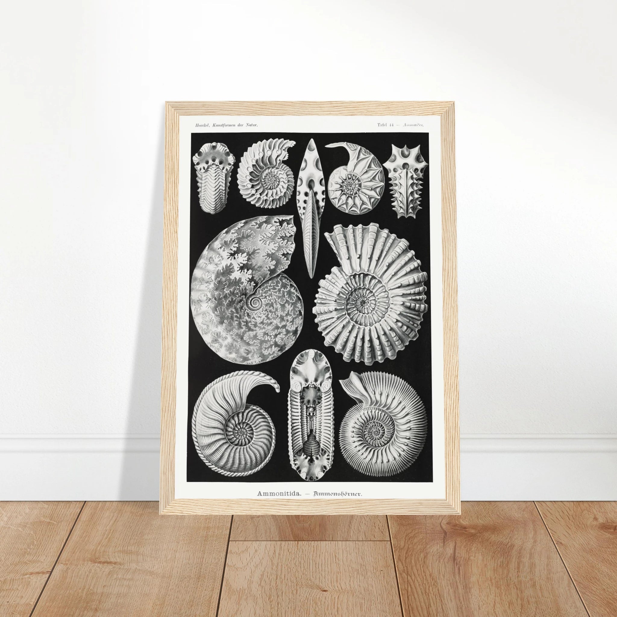 e7df7415-5dcd-4cf1-ad3b-1067d80017b4