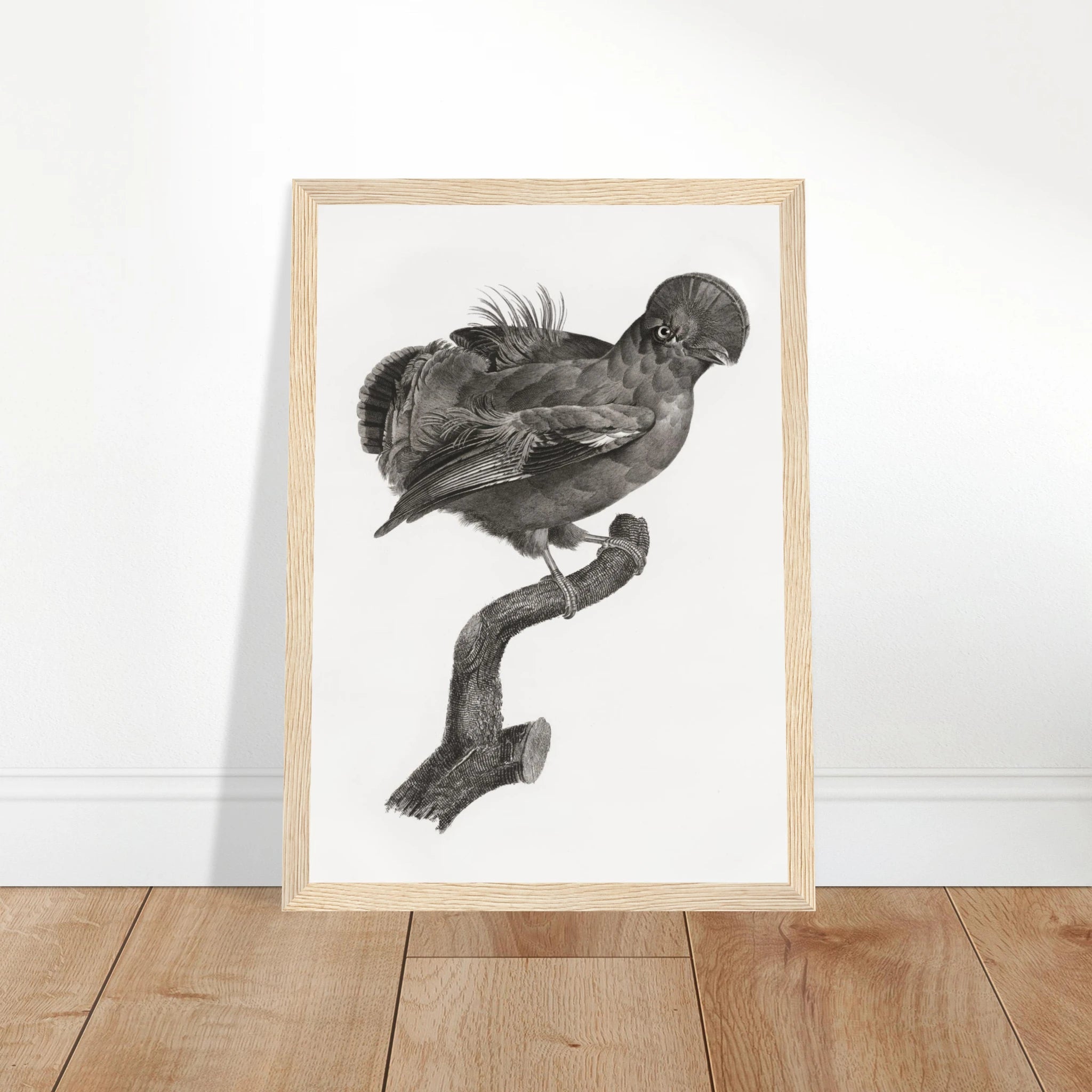 e8465a81-38b8-46d5-88b4-4bf551f3bbc4