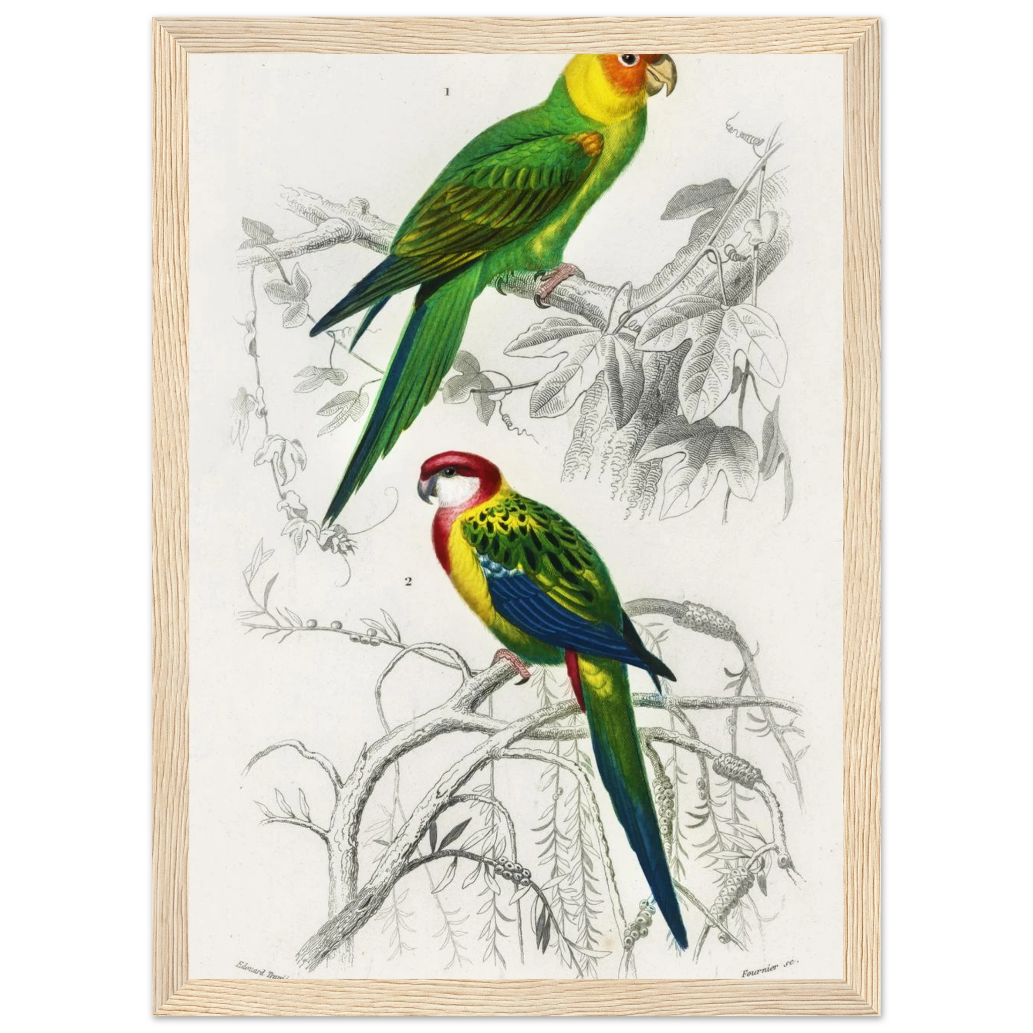 e85f44d8-68cb-4ce5-b6fc-316f684c3a8d