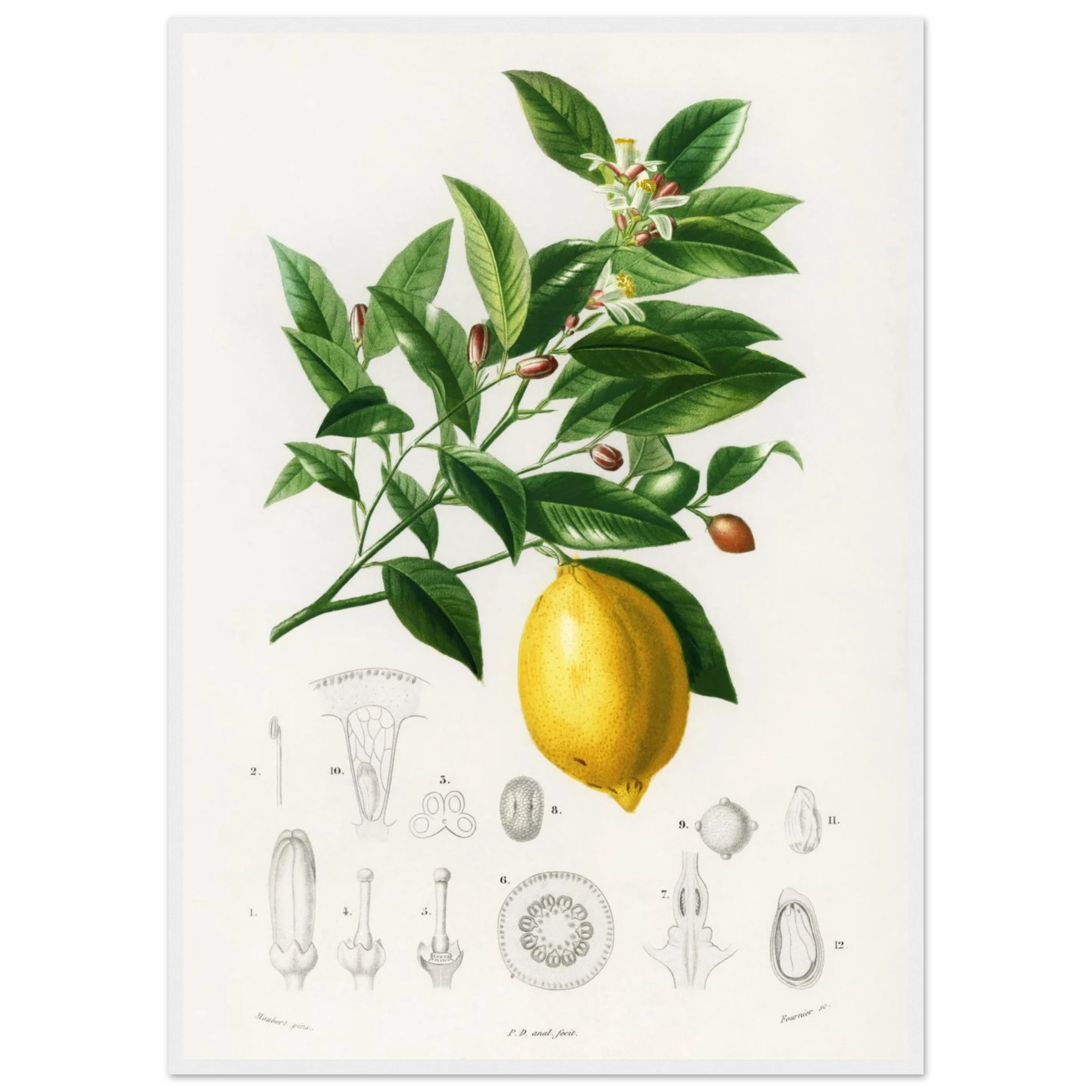 e8af730e-71bf-4a94-9fb4-95ef5efb285b