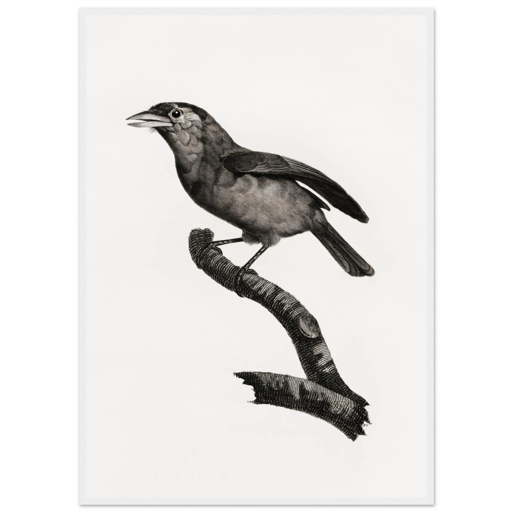 e8bf3338-74de-4579-9189-d02518c09457