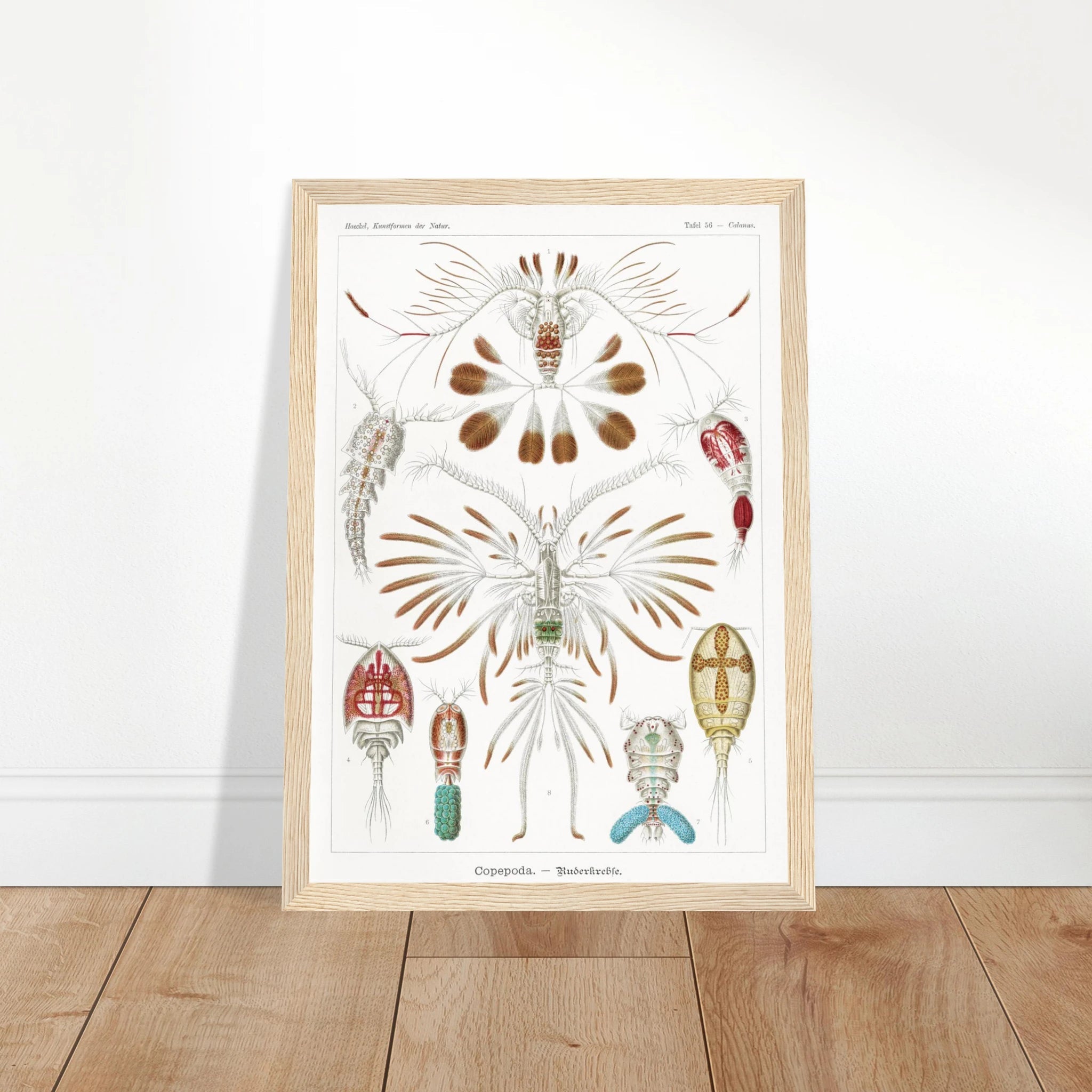 e8dfb0fc-c354-4281-95d9-6447ffe3b952