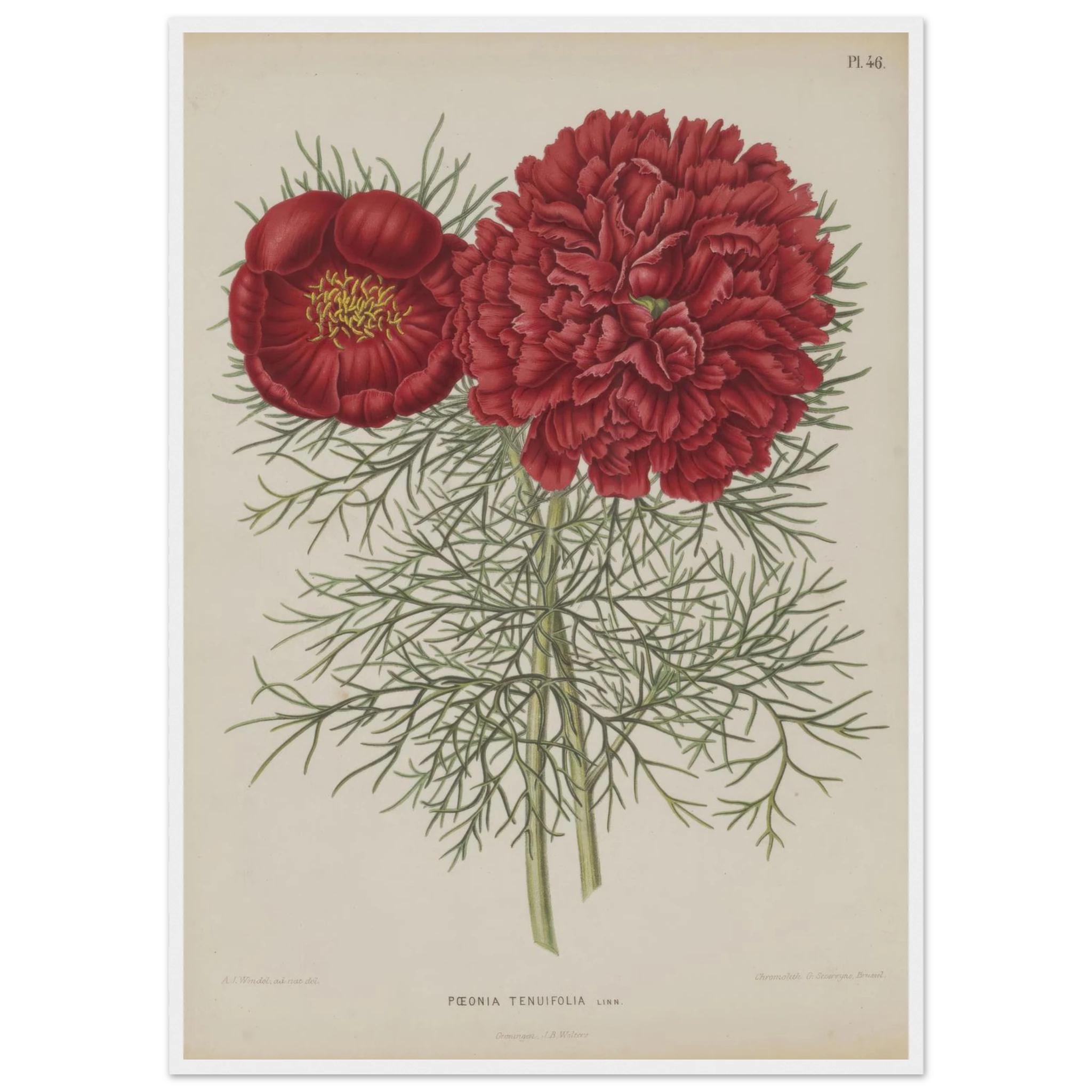 e8feb738-9a98-4f87-9eb2-c0b6d569b783