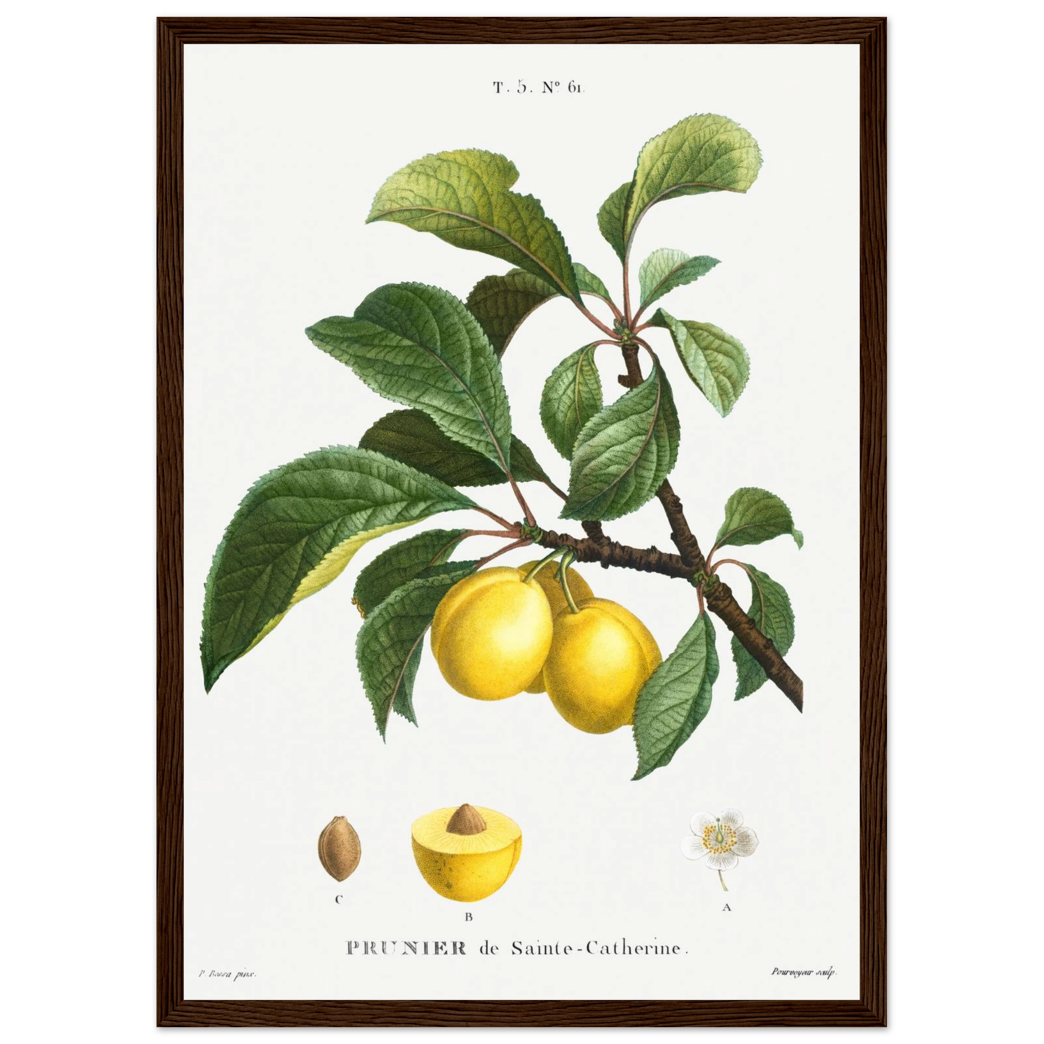 e94812a7-c174-48dc-b9f8-f9b43f4c8c27