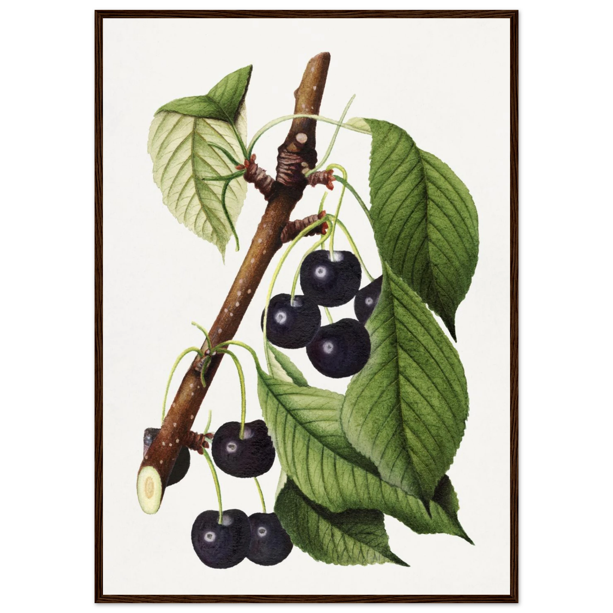 e99254dd-6956-4095-a927-408af9c24380