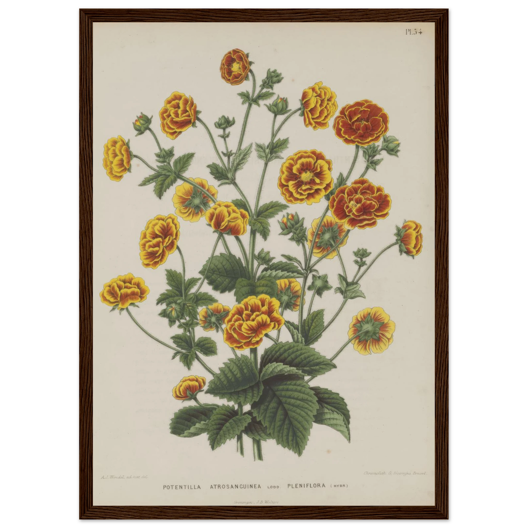 e9d93292-5055-4b0a-8f71-cad249de298e