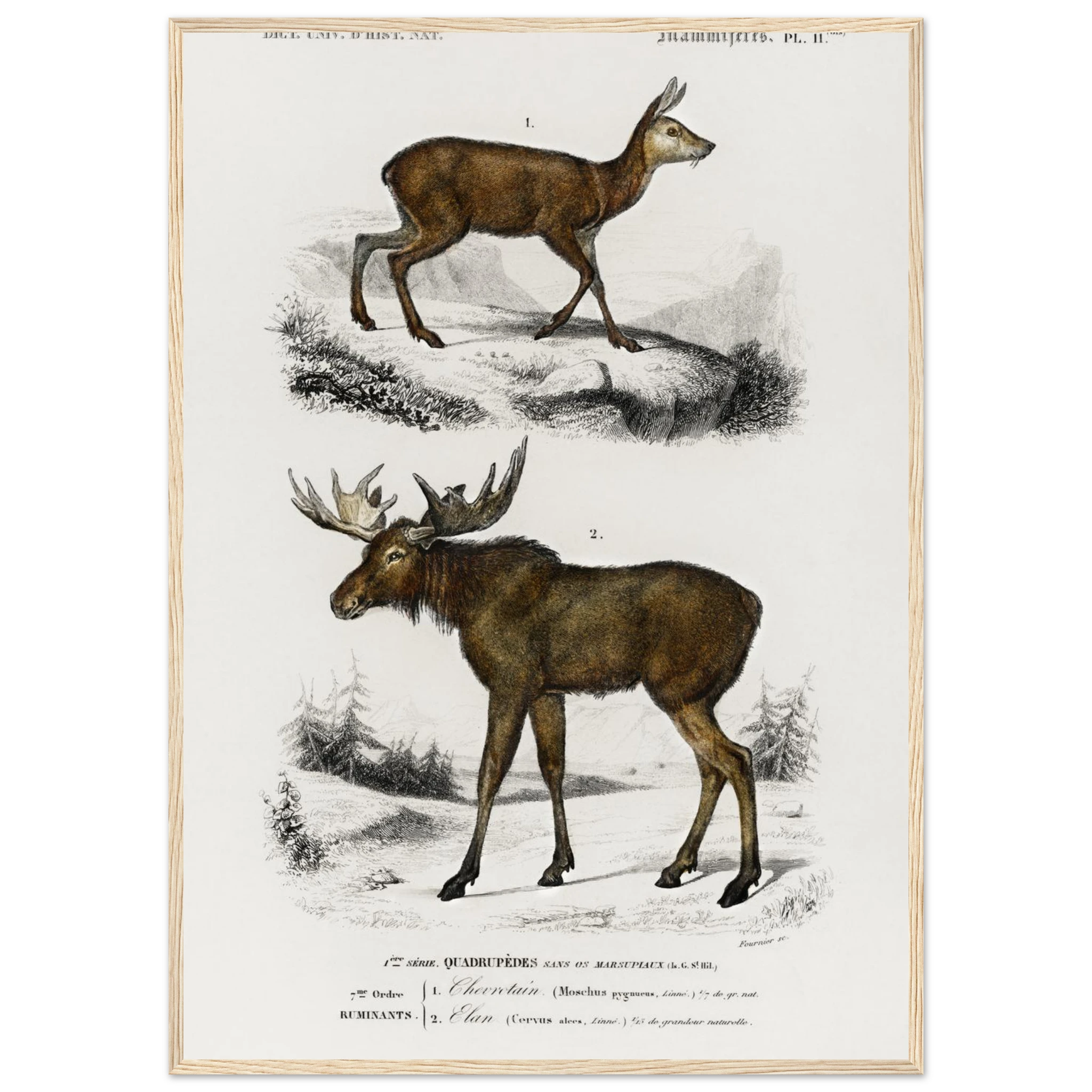 e9fe631c-0b3b-4a84-a60b-5eb8de713328