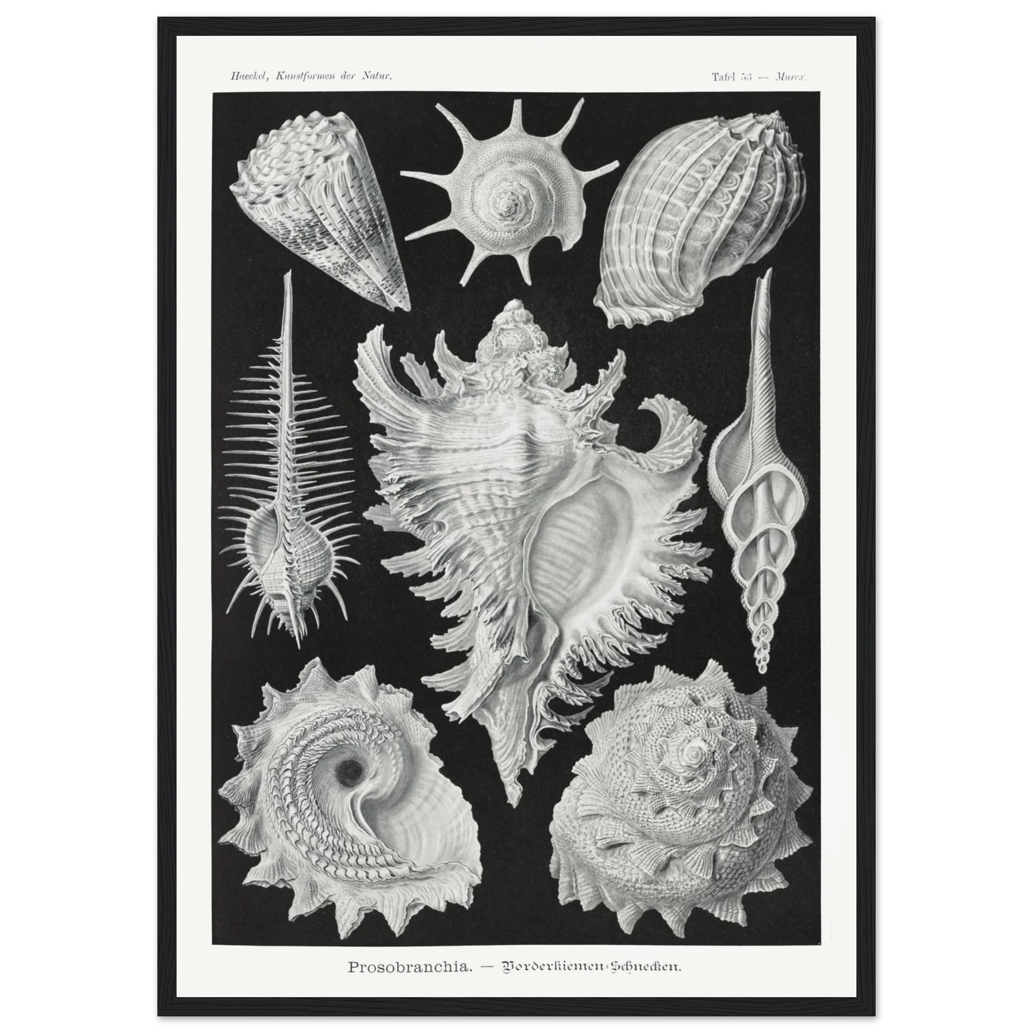 ea34df06-e9dd-4bc5-b5e0-81f47fcf2a12