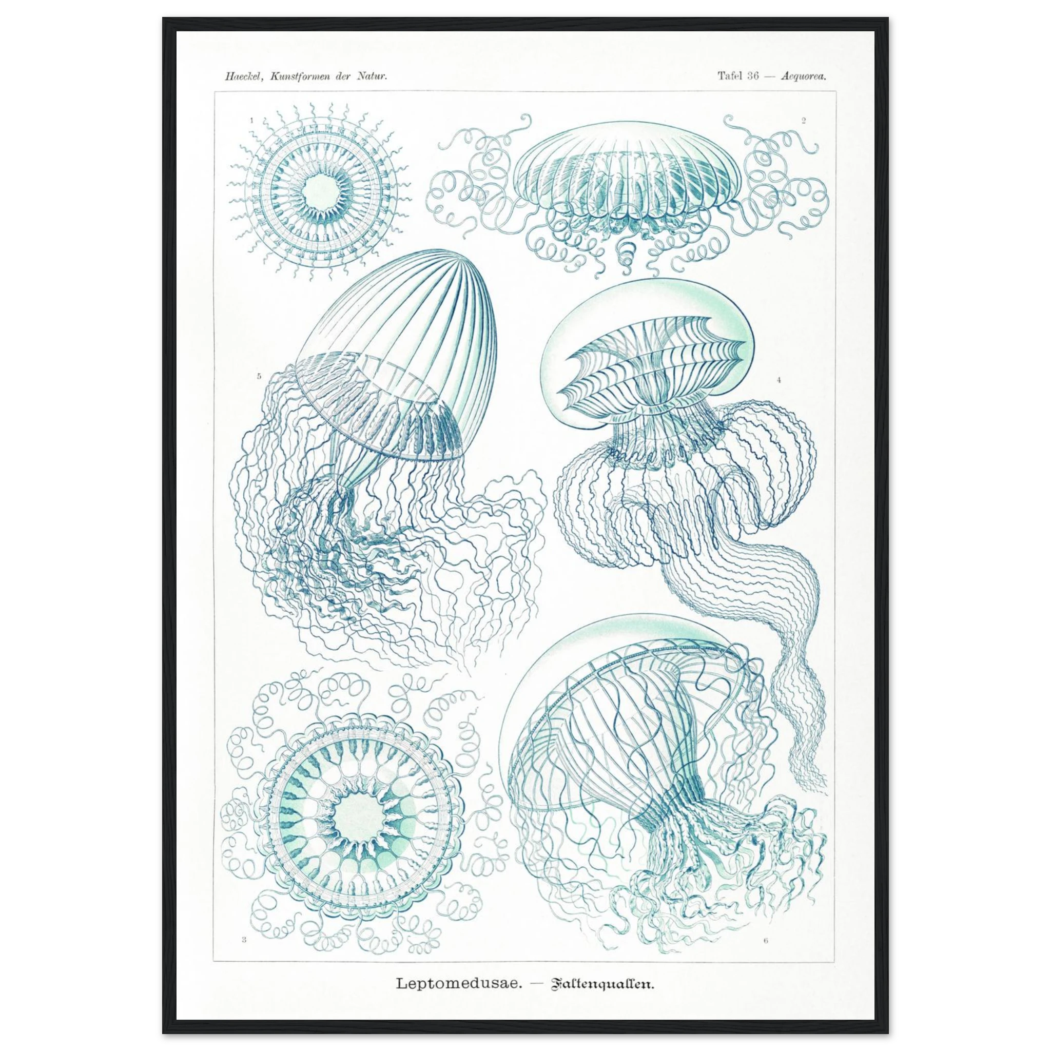 ea4efa95-4074-4c00-ae10-12519a87a435