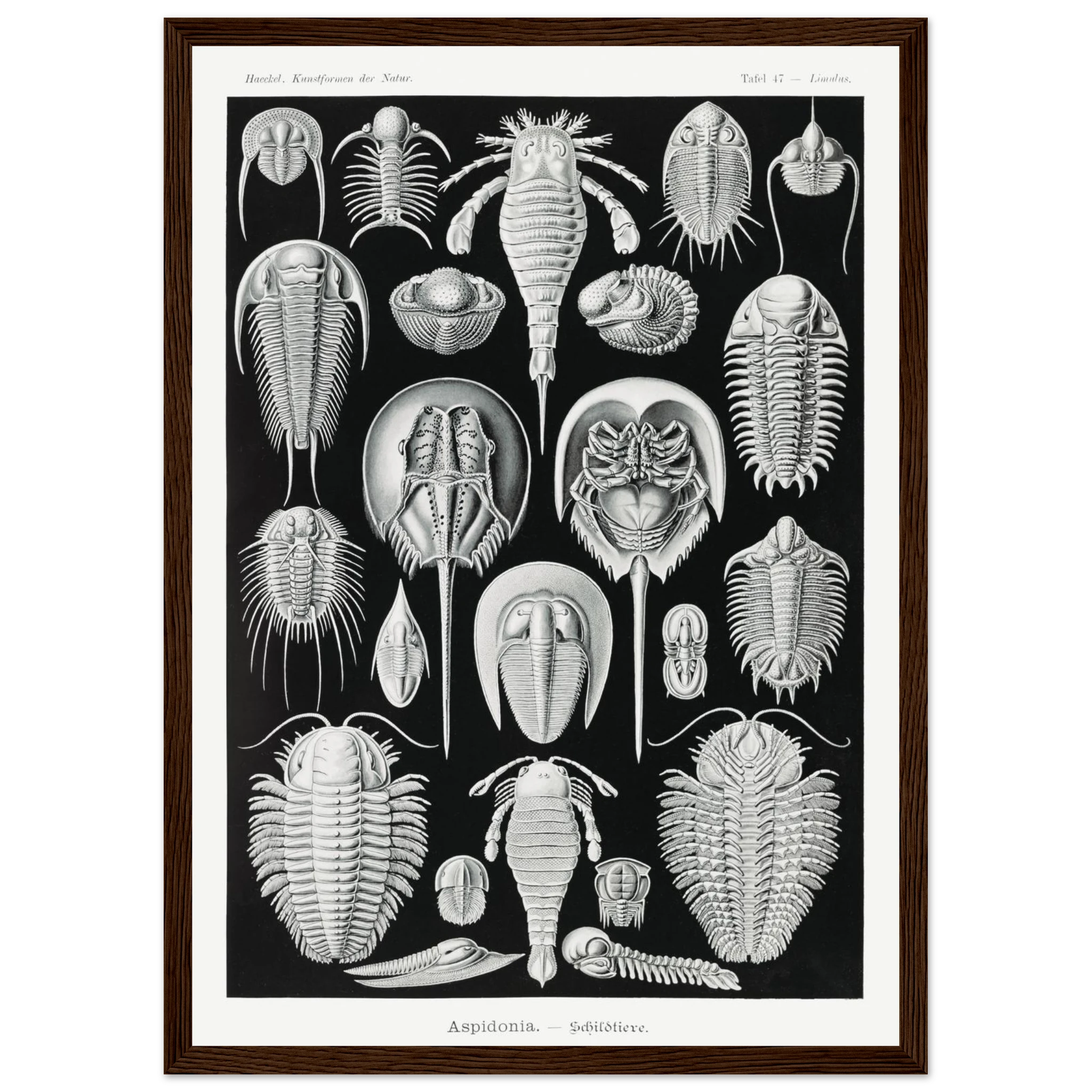 ea5a5262-bc49-4cfd-8281-92884290ebd6