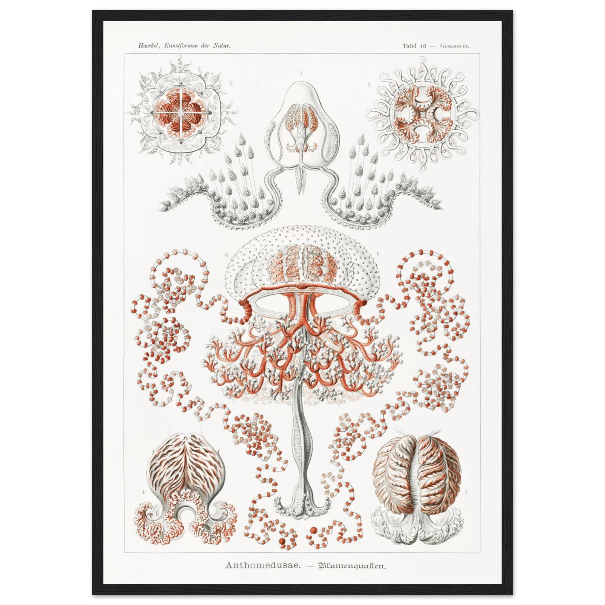 ea66a550-7bc3-4635-87e0-76c722282cd4