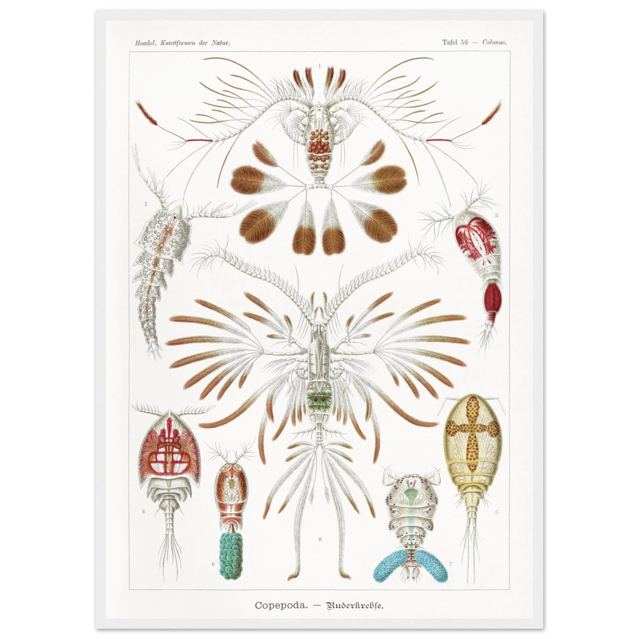 ea80562a-96e7-4713-8134-1f344728cb68