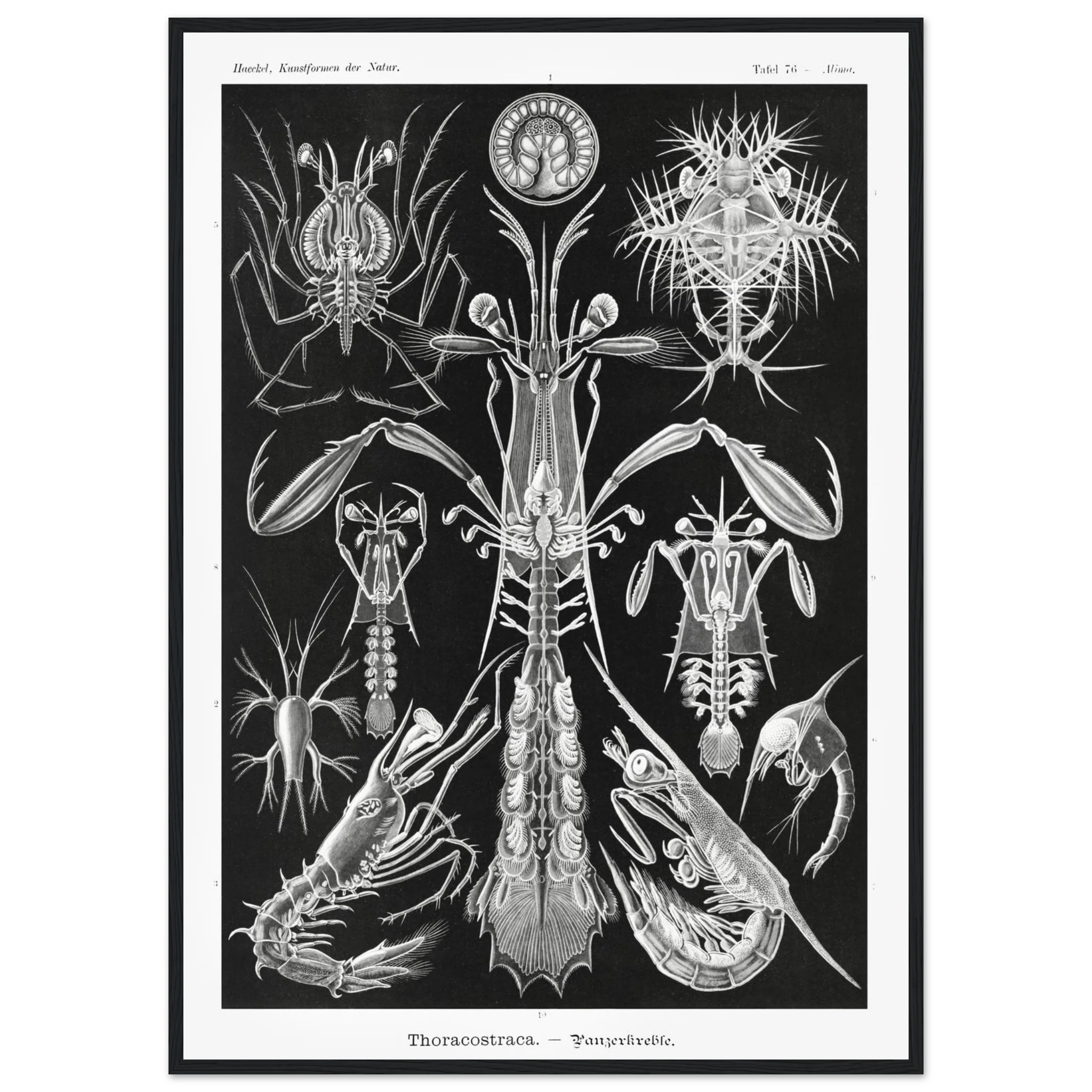 eaabb275-727e-43ae-9e87-cee9462ce245